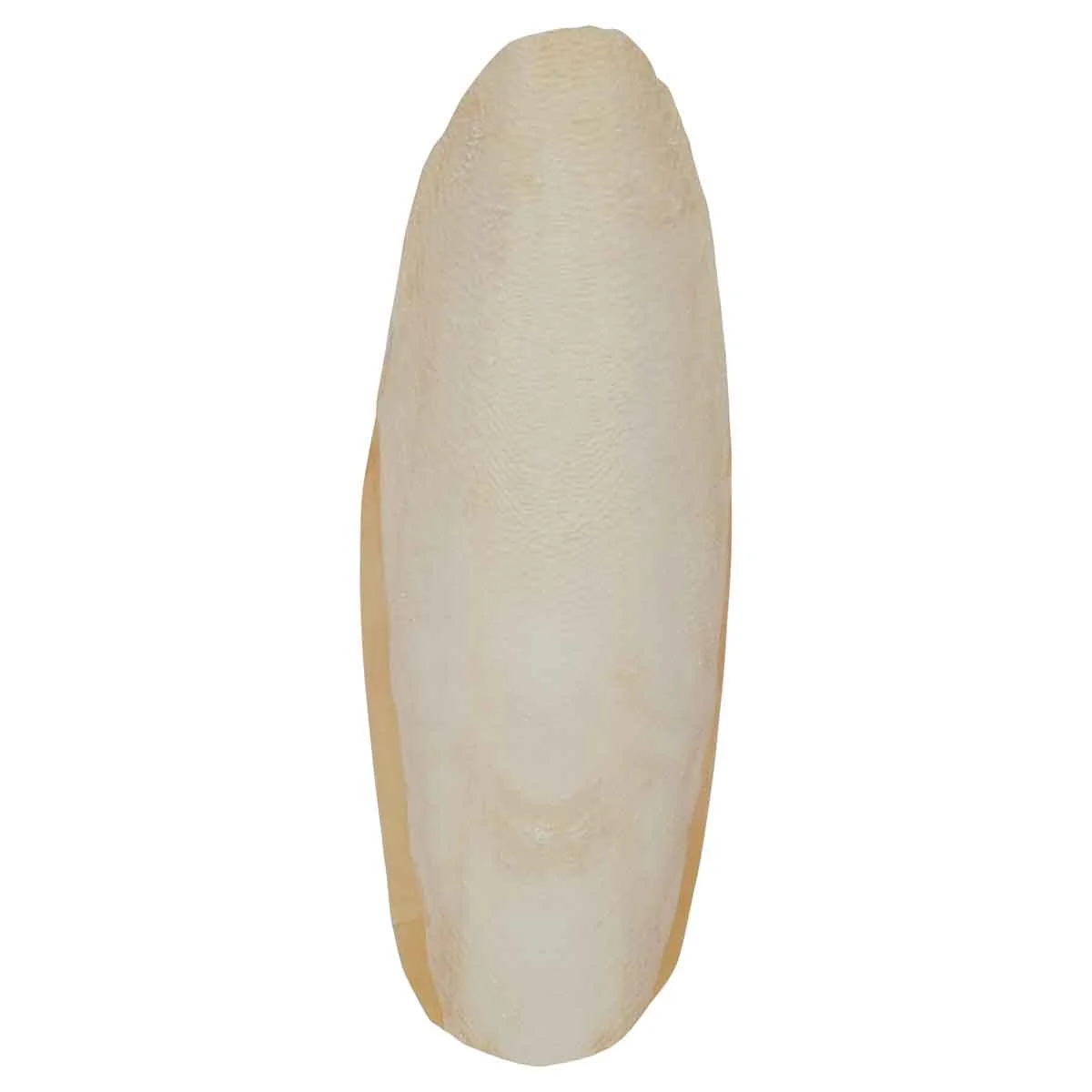 Lexi & Me Cuttlebone 2 Pack - Image 5