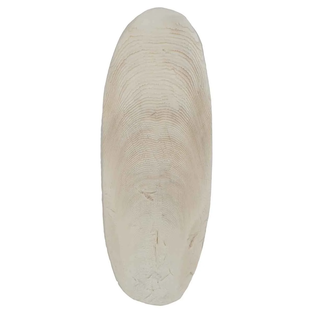 Lexi & Me Cuttlebone 2 Pack - Image 6