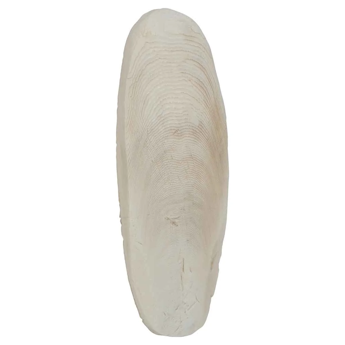 Lexi & Me Cuttlebone 2 Pack - Image 8