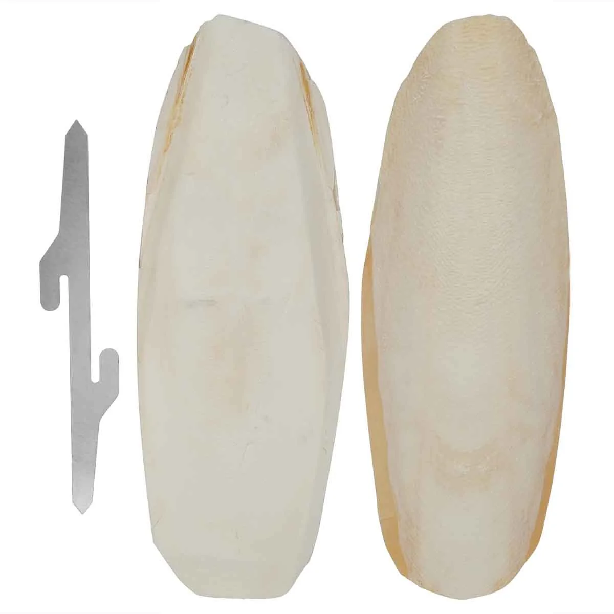 Lexi & Me Cuttlebone 2 Pack - Image 9