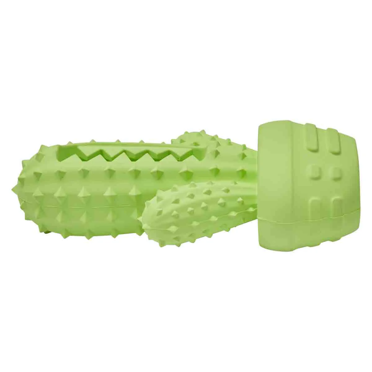 Lexi & Me Rubber Cactus Dental Dog Toy - Image 4