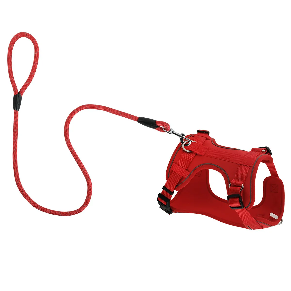 Lexi & Me Dog Harness - Image 84