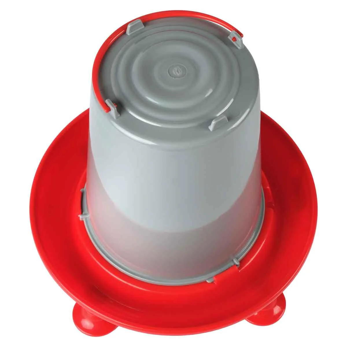 Lexi & Me Poultry Waterer Red & Grey - Image 7