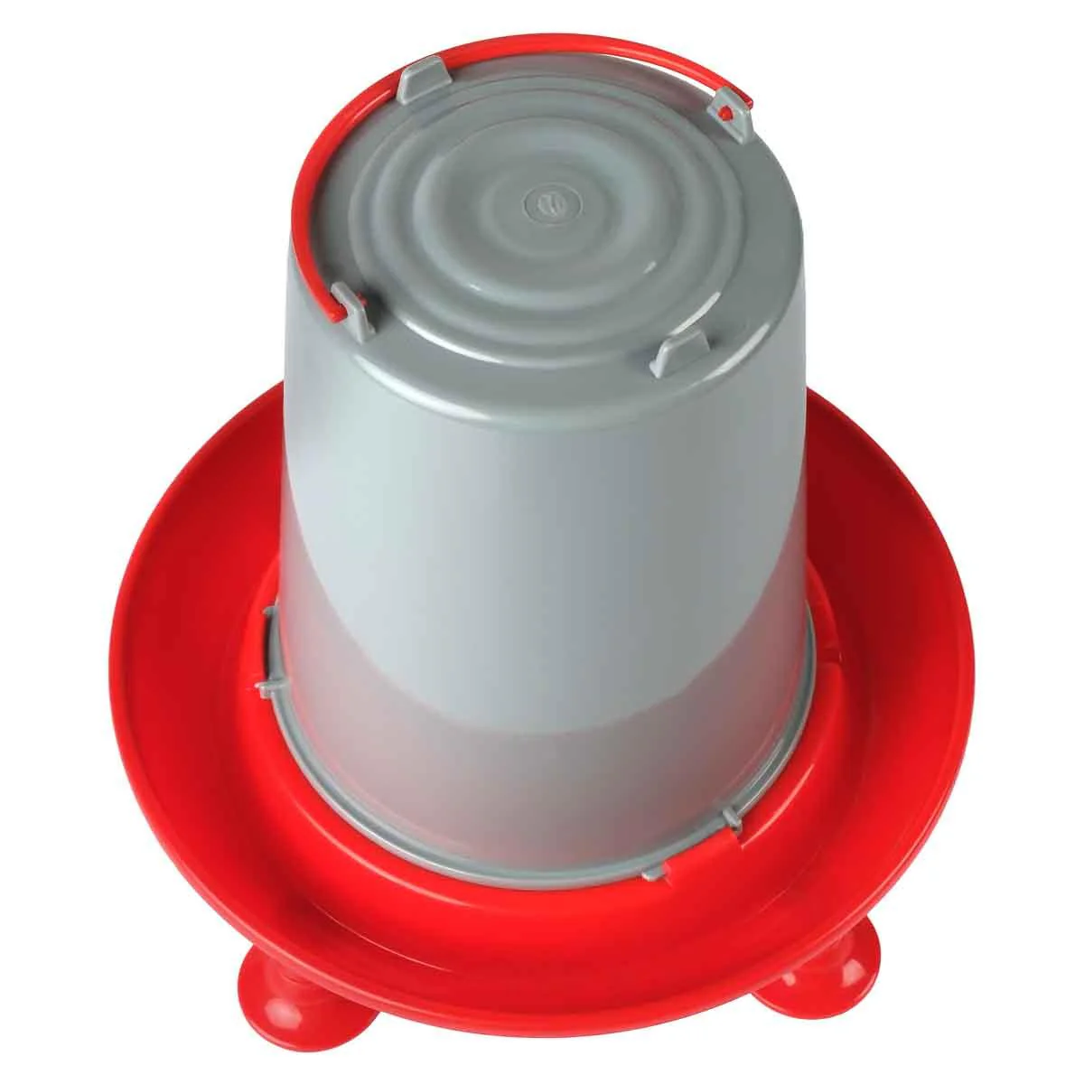 Lexi & Me Poultry Waterer Red & Grey - Image 8