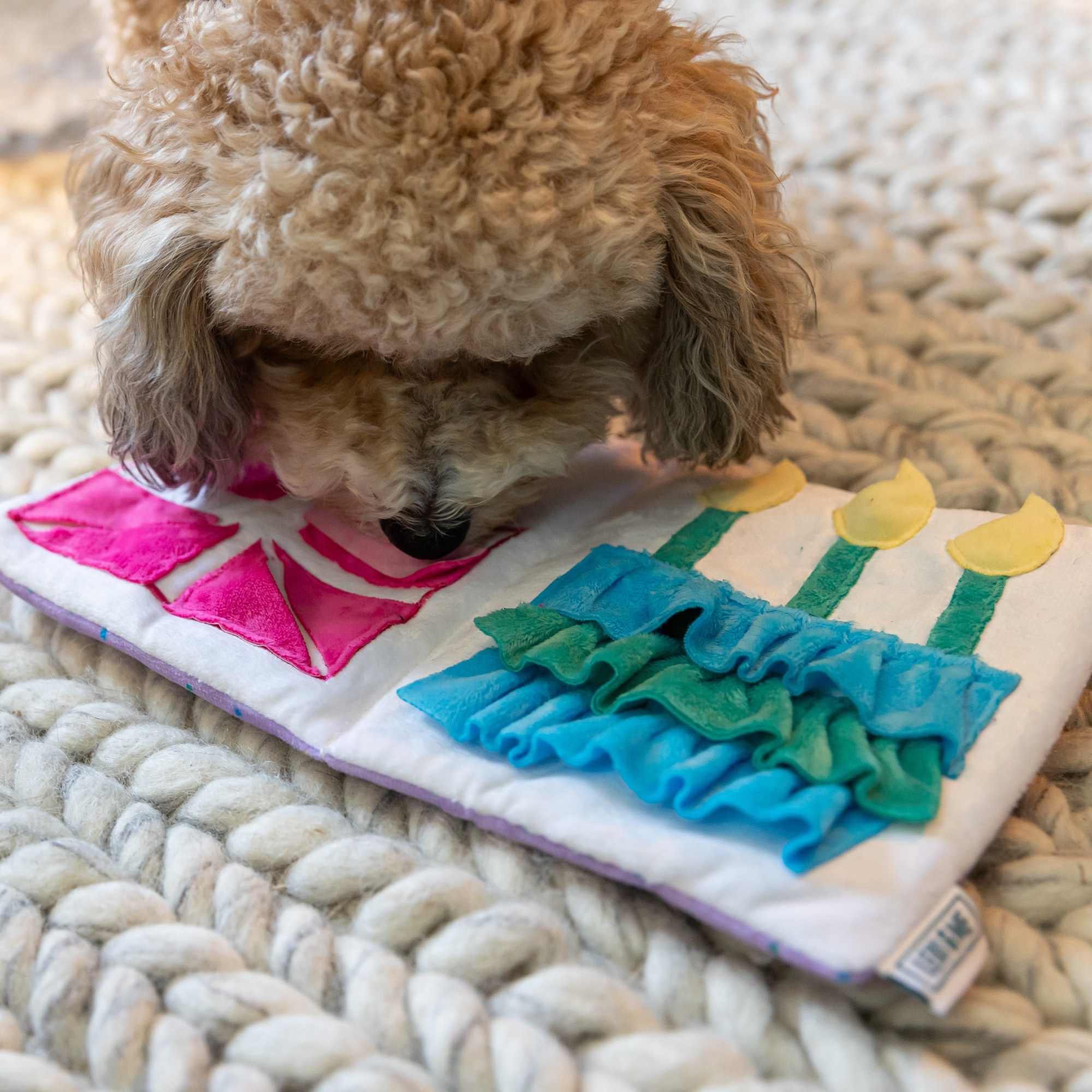 Lexi & Me Snuffle Card Birthday - Image 3