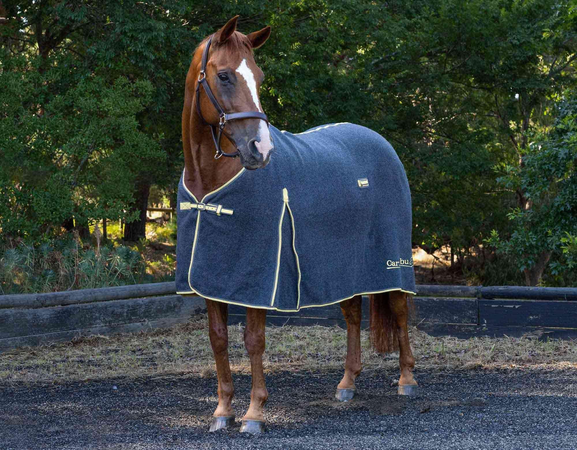 Caribu Deluxe Wool Horse Rug - Image 15