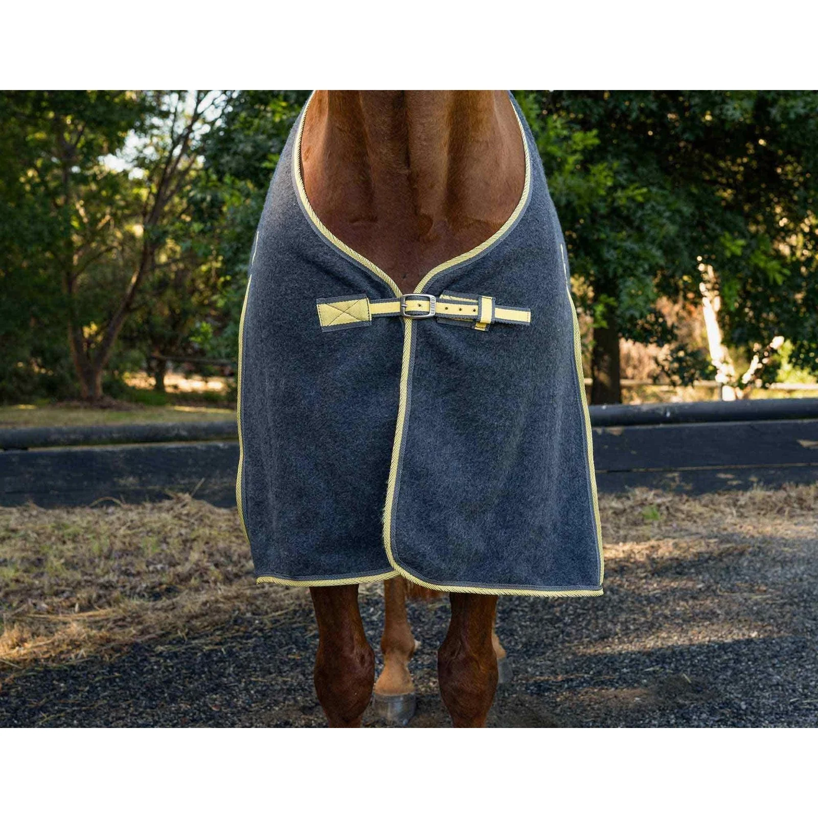 Caribu Deluxe Wool Horse Rug - Image 38