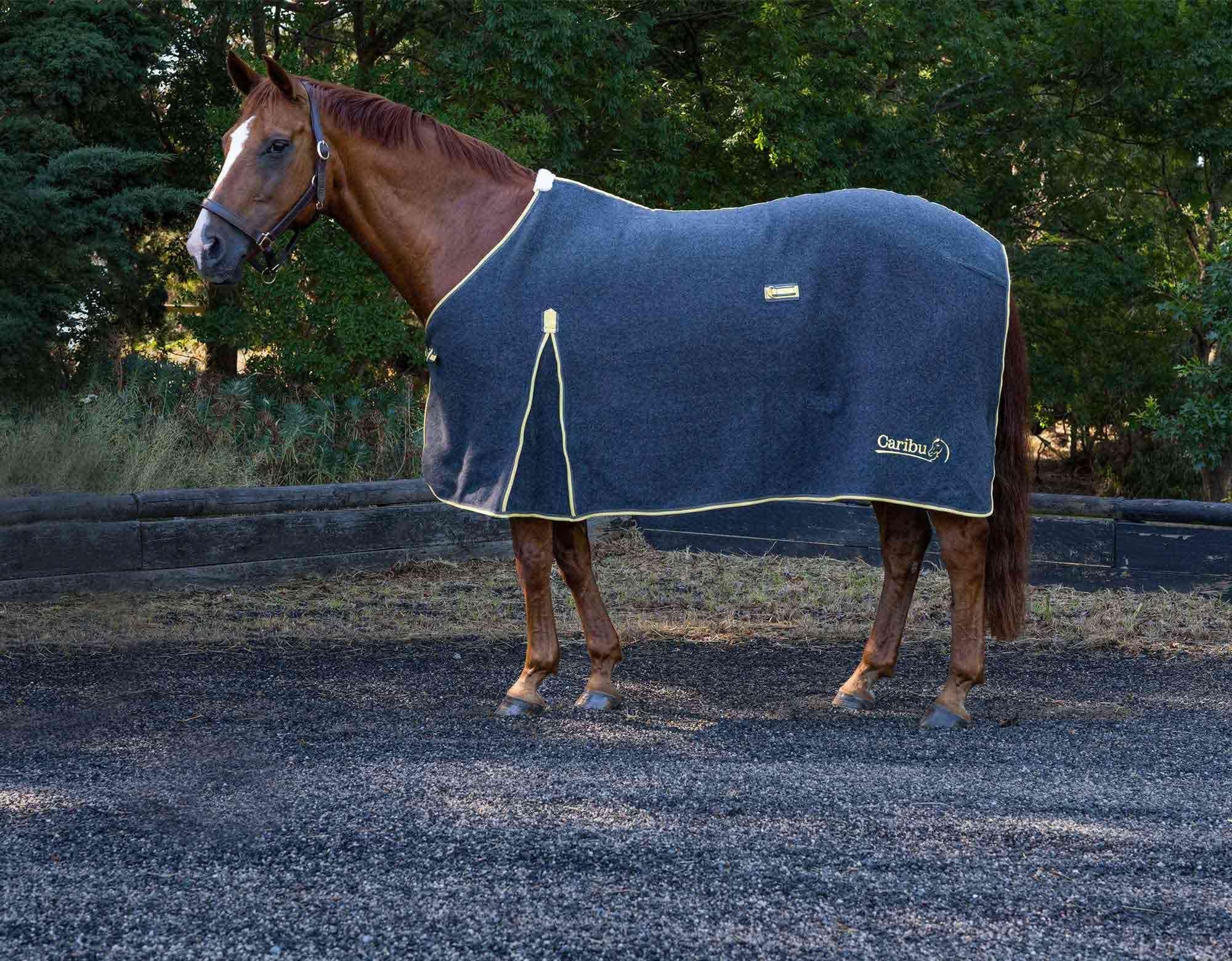 Caribu Deluxe Wool Horse Rug - Image 60