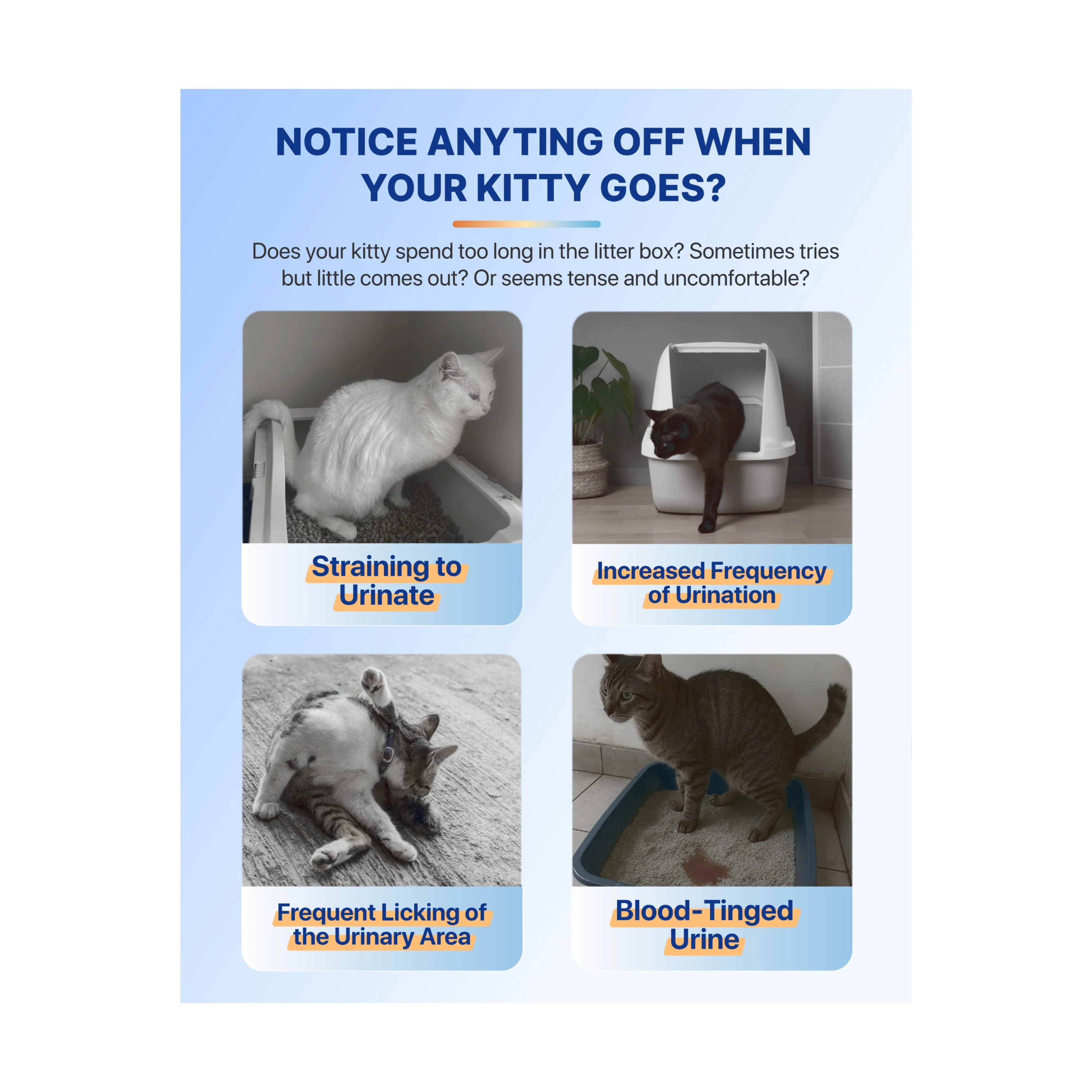 Michu Health Monitoring Tofu Cat Litter - Image 7