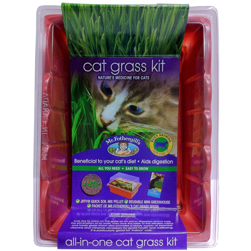 Mr Fothergill's Edible Cat Grass - Image 2