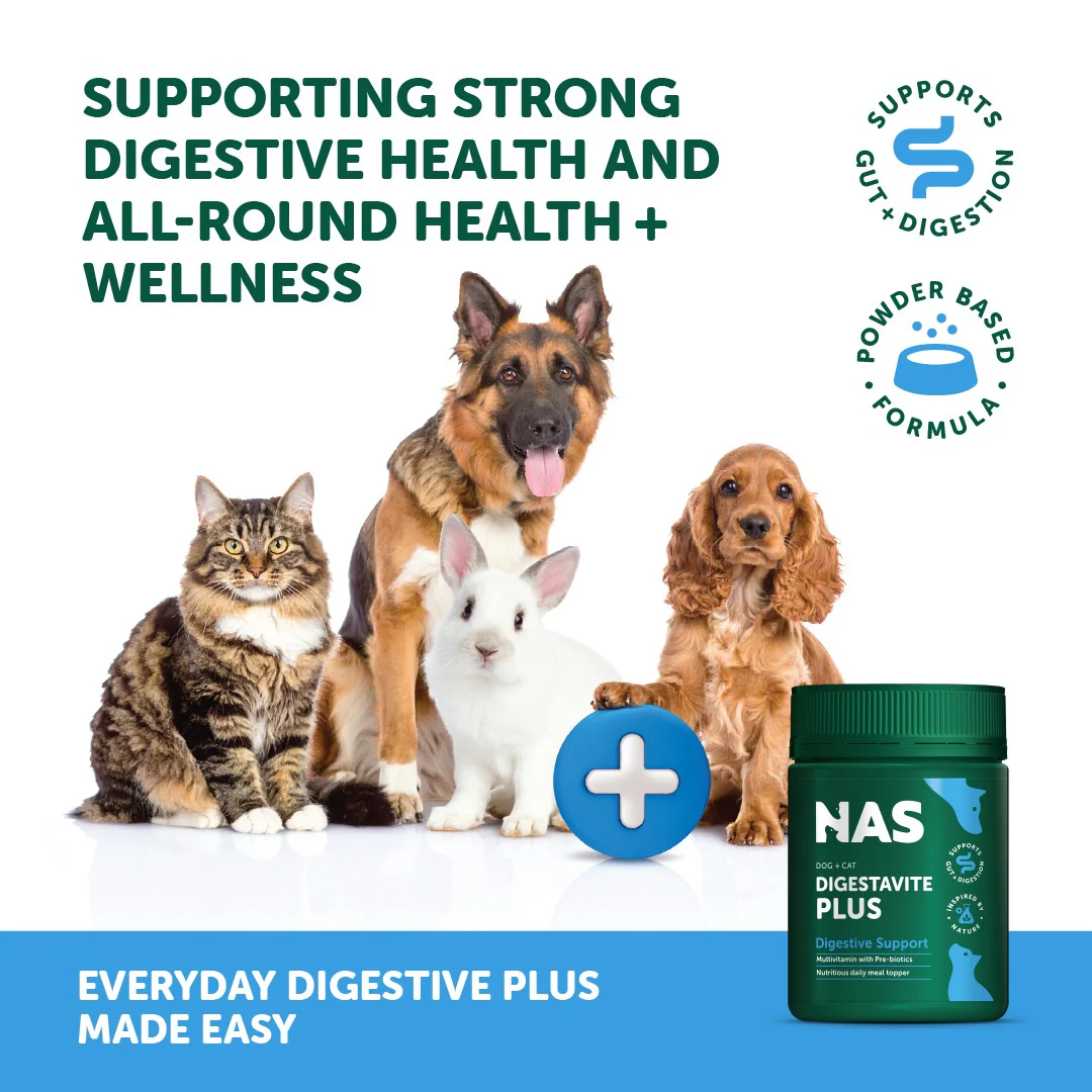 Natural Animal Solutions DigestaVite Plus 100g - Image 6
