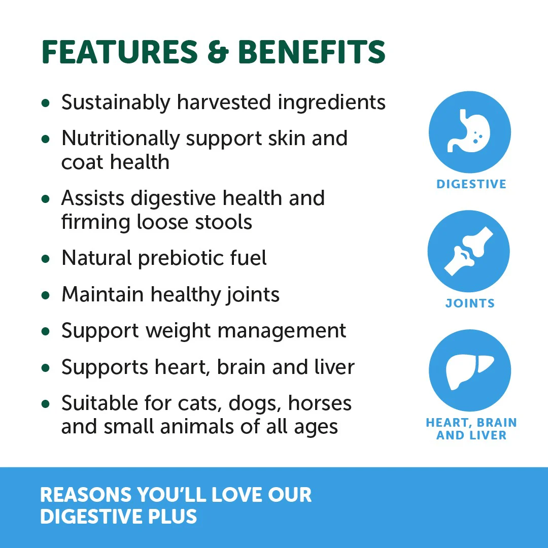 Natural Animal Solutions DigestaVite Plus 100g - Image 8