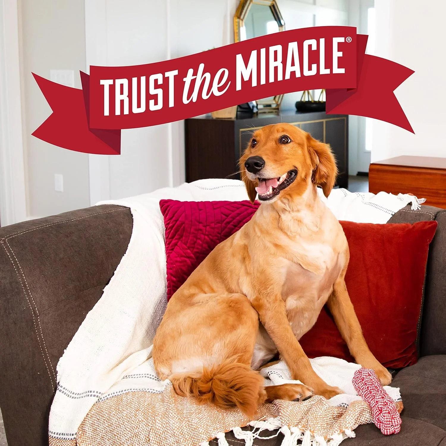 Nature's Miracle Advance Platinum Puppy Potty Training Spray - Image 6