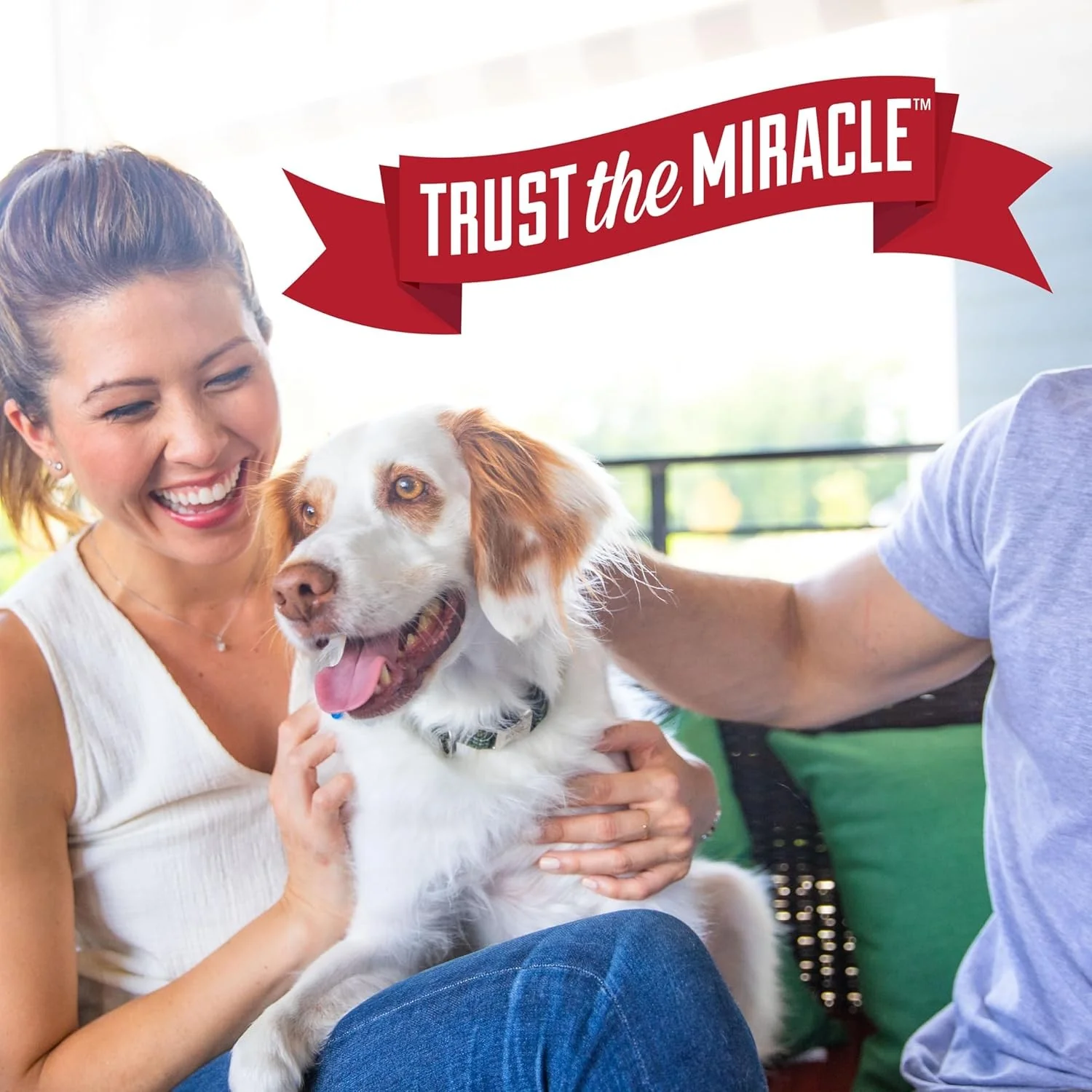 Nature's Miracle Dog Urine Destroyer Plus Spray - Image 9