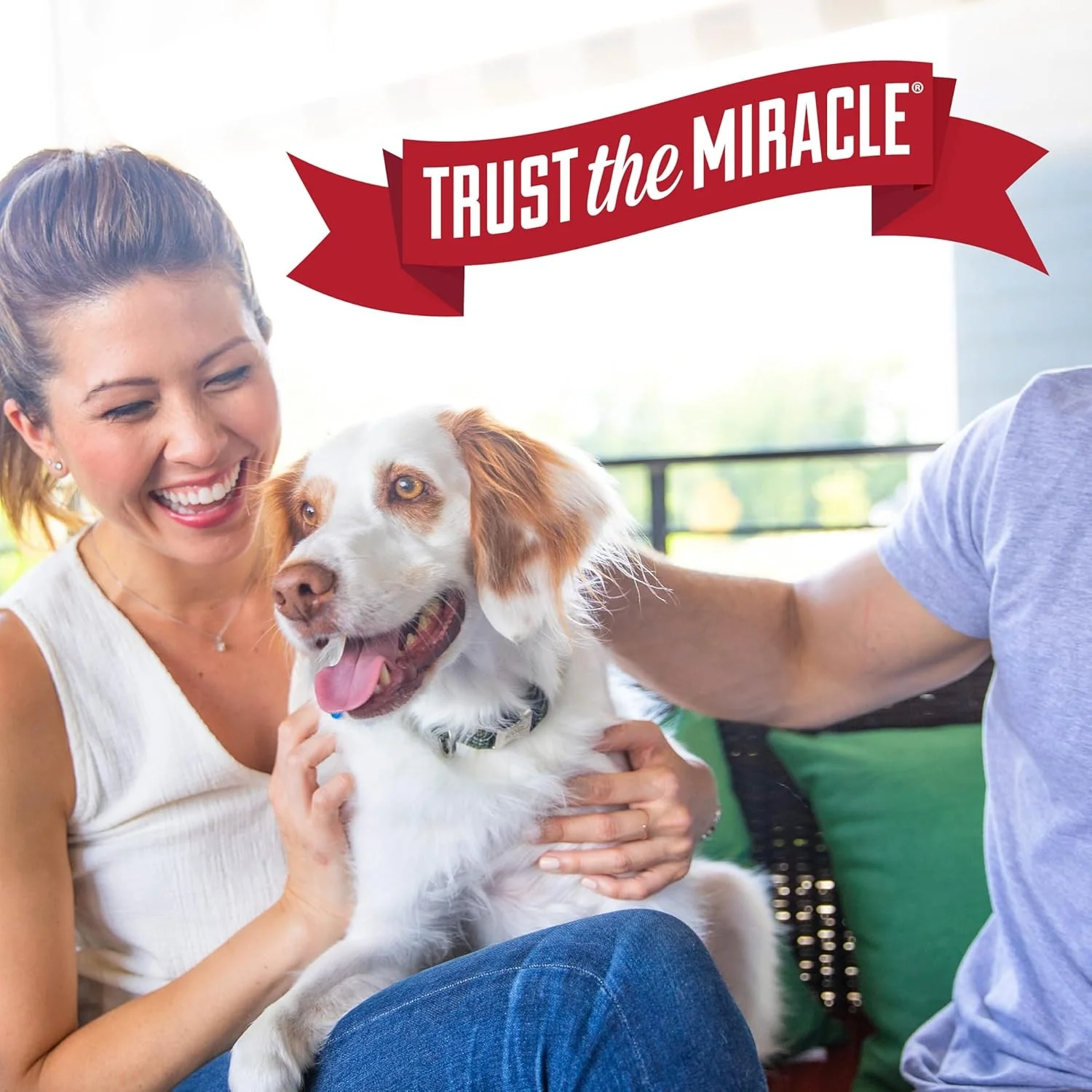 Nature's Miracle Dog Stain & Odor Remover - Image 8
