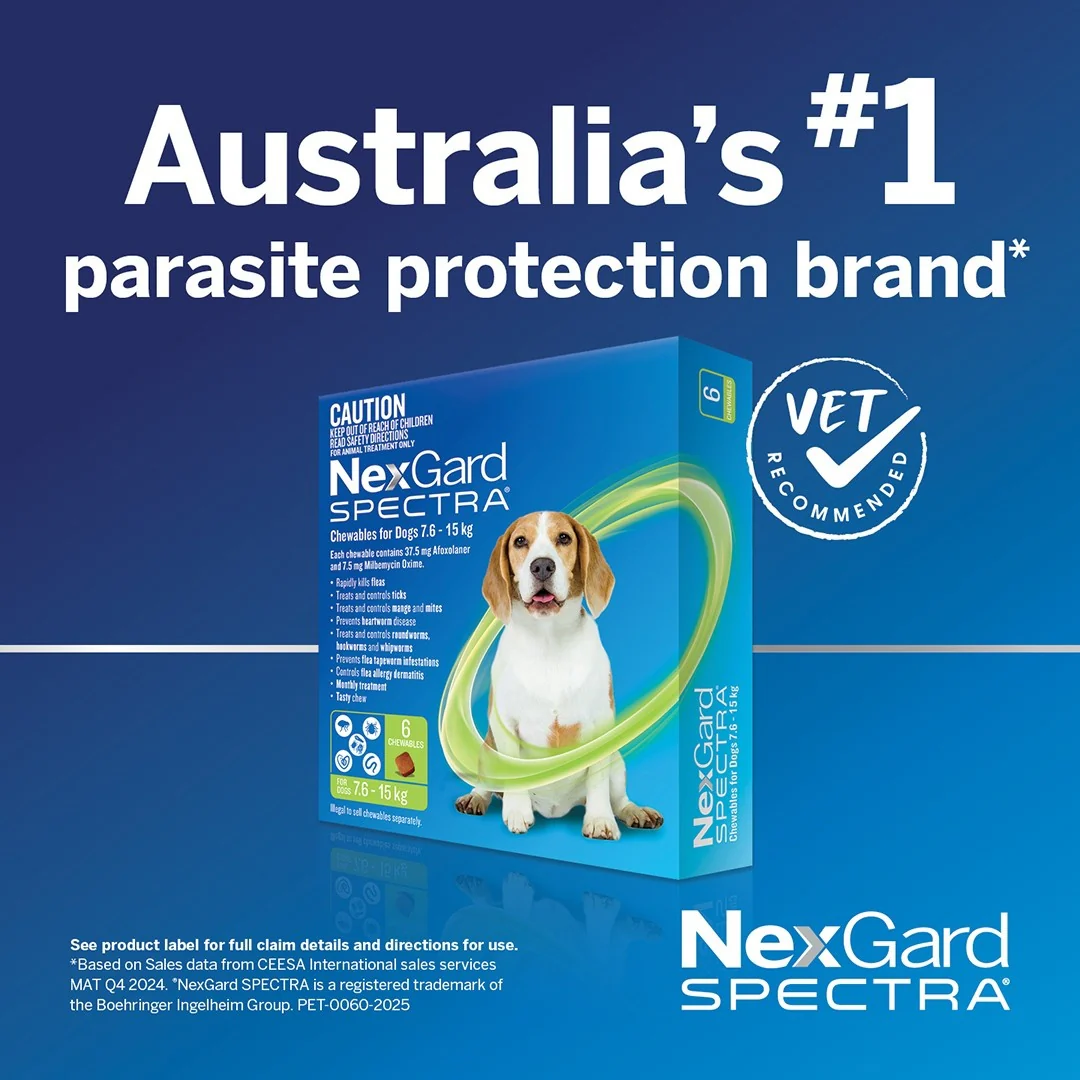 NexGard Spectra Large Breed 15.1-30kg Flea, Tick & Worming Dog Chews - Image 11