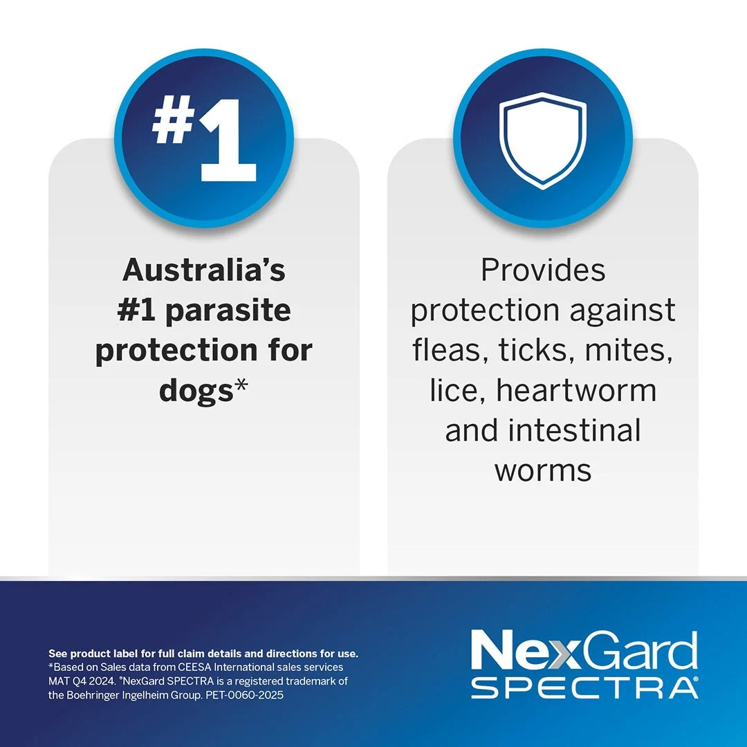 NexGard Spectra Large Breed 15.1-30kg Flea, Tick & Worming Dog Chews - Image 14