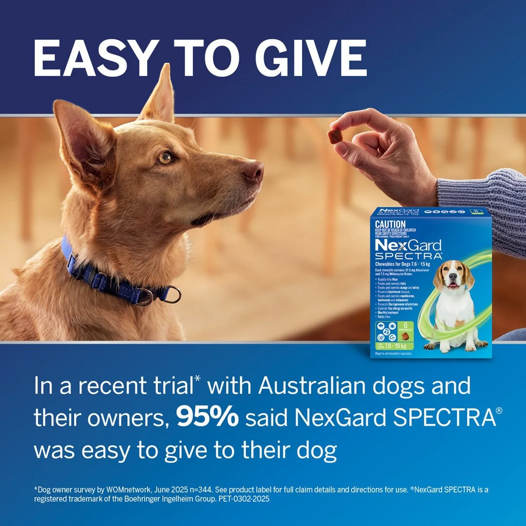 NexGard Spectra Large Breed 15.1-30kg Flea, Tick & Worming Dog Chews - Image 20