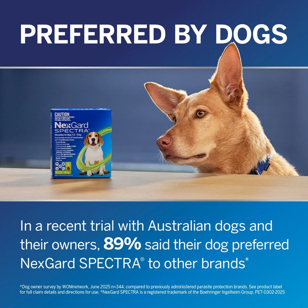 NexGard Spectra Large Breed 15.1-30kg Flea, Tick & Worming Dog Chews - Image 21