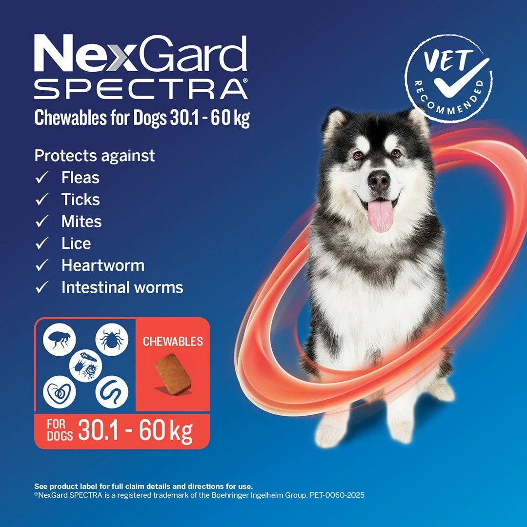 NexGard Spectra Extra Large Breed 30.1-60kg Flea, Tick & Worming Dog Chews - Image 7