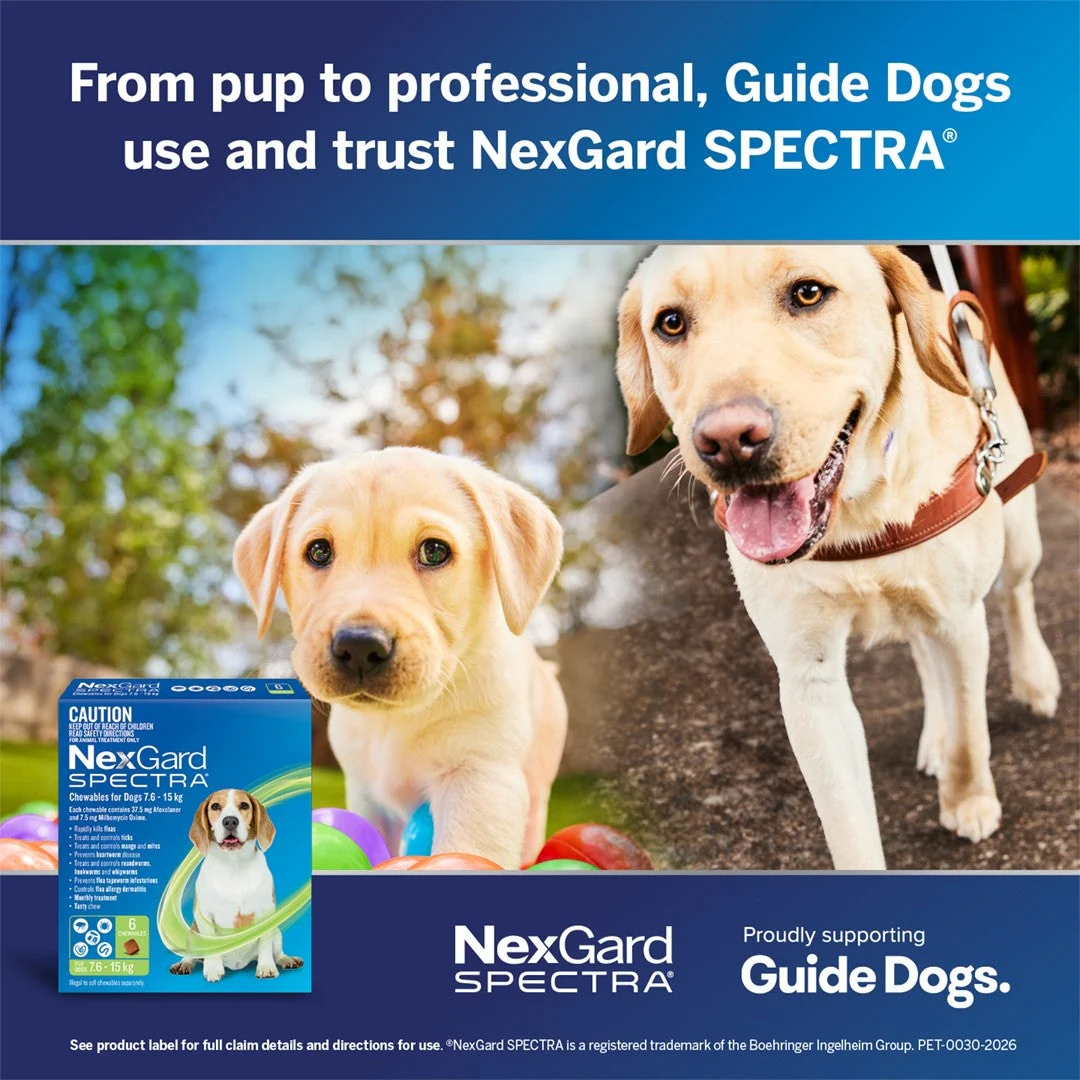 NexGard Spectra Medium Breed 7.6-15kg Flea, Tick & Worming Dog Chews - Image 25