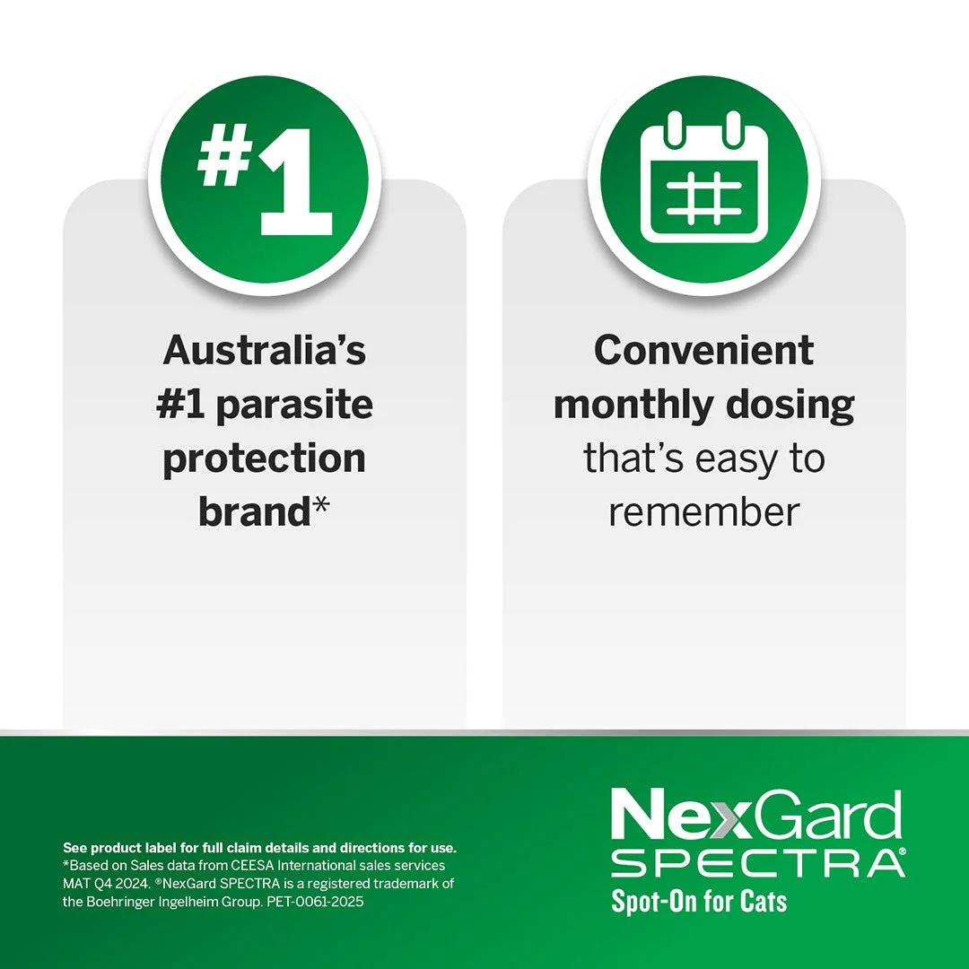 NexGard Spectra Spot-On for Cats & Kittens 0.8-2.4kg - Image 11