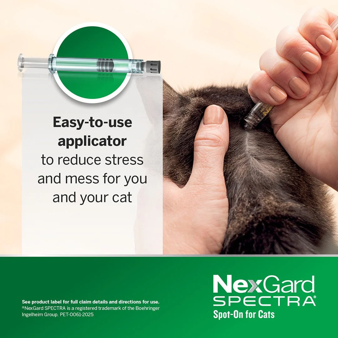NexGard Spectra Spot-On for Cats & Kittens 0.8-2.4kg - Image 17