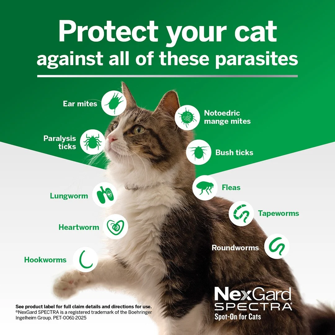 NexGard Spectra Spot-On for Cats & Kittens 0.8-2.4kg - Image 20