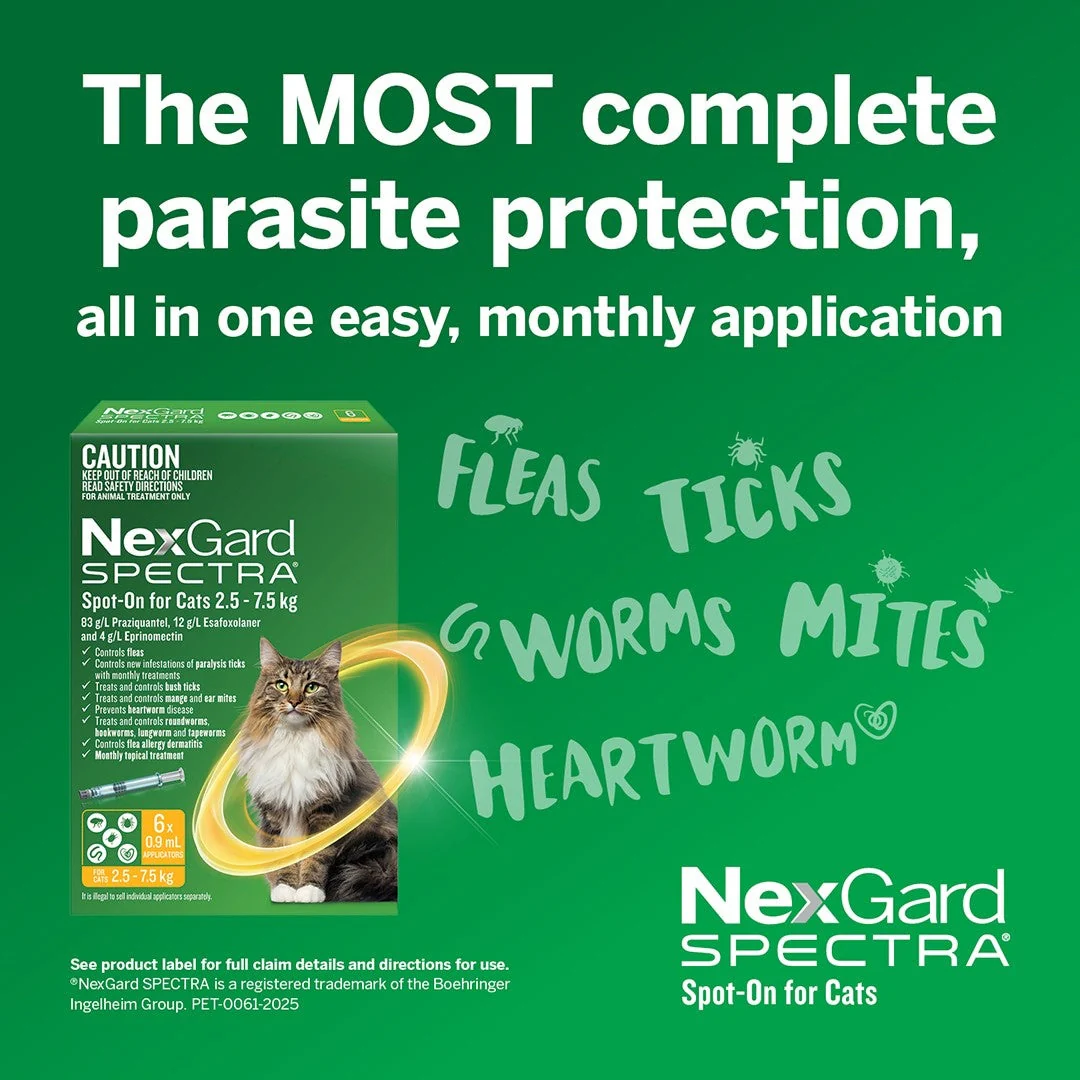 NexGard Spectra Spot-On for Cats 2.5-7.5 kg - Image 21