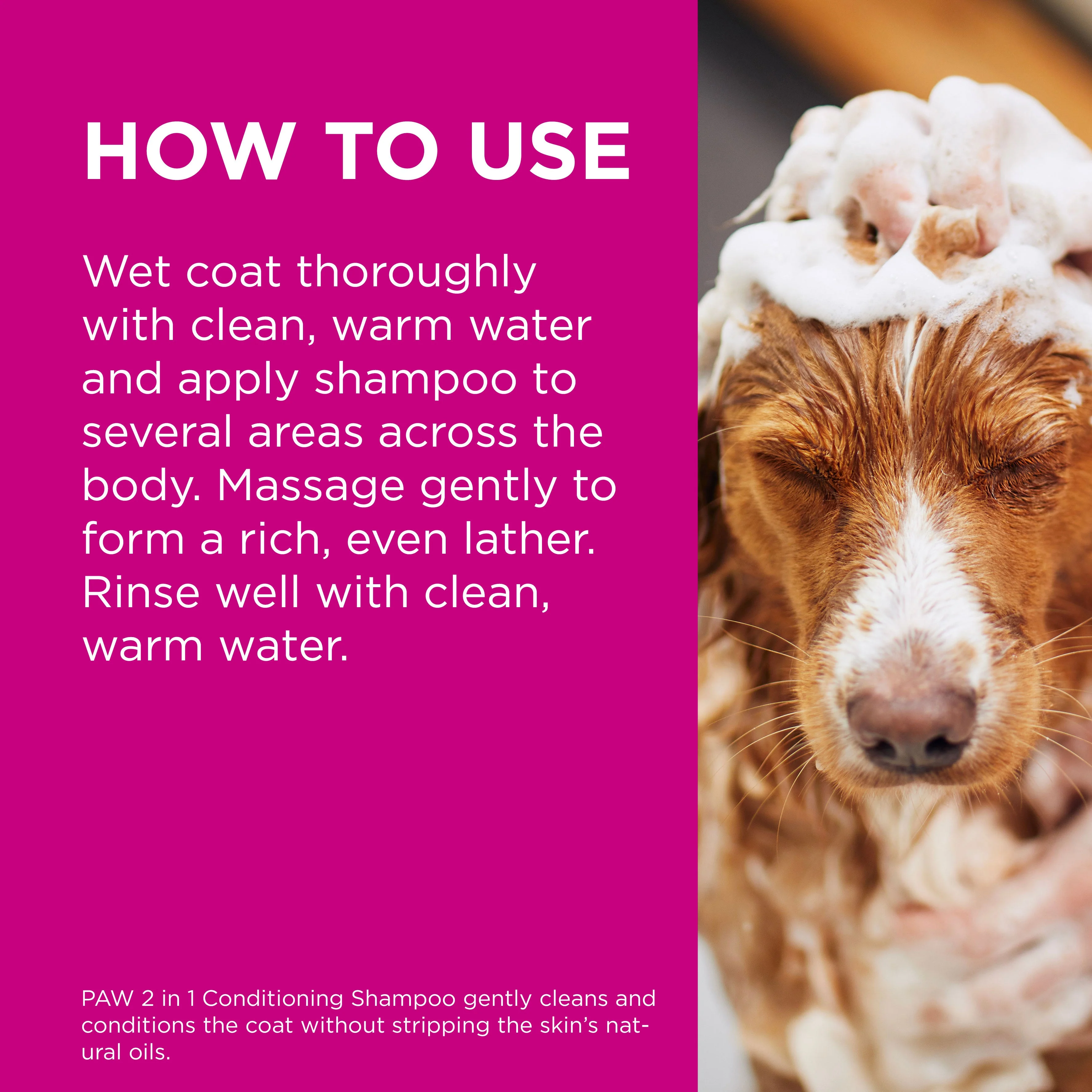 PAW 2 in 1 Conditioning Dog Shampoo 500ml - Image 16