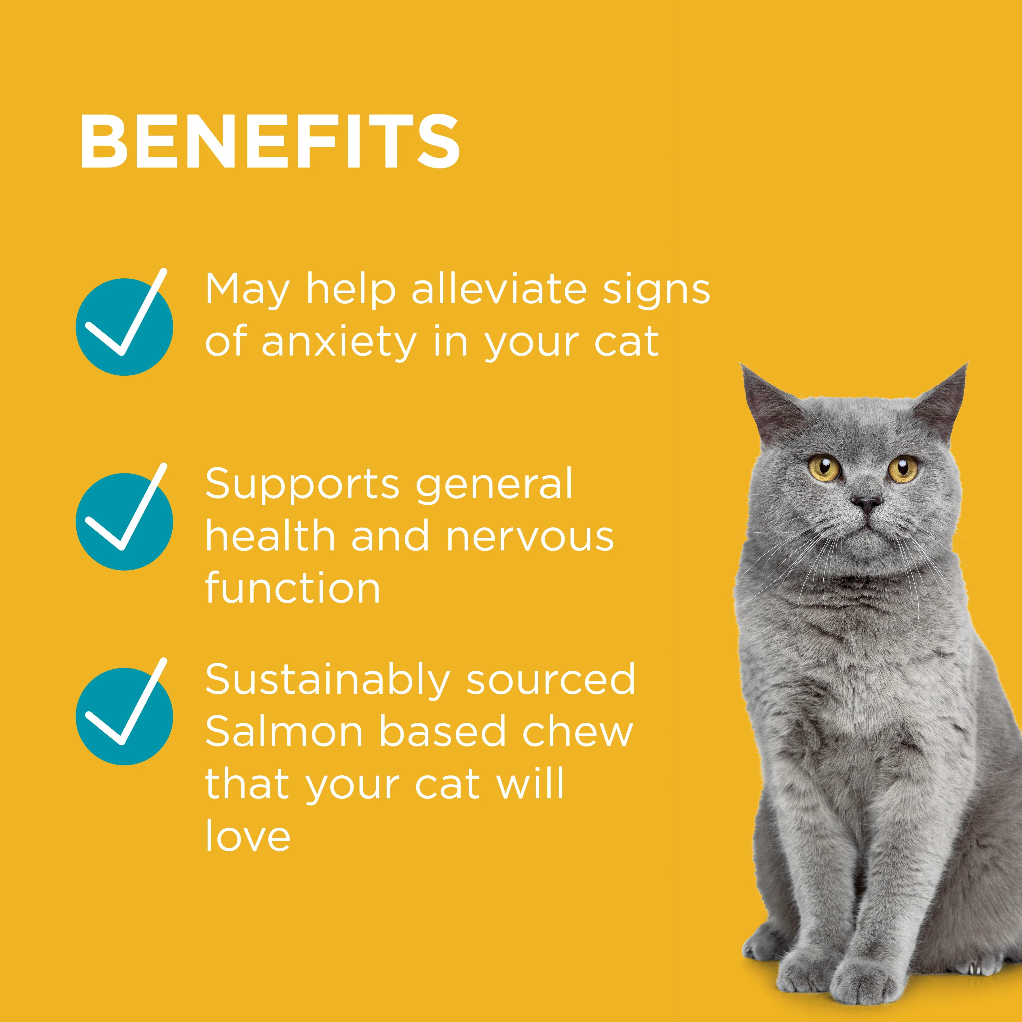 PAW Complete Calm Chews For Cats - Image 4