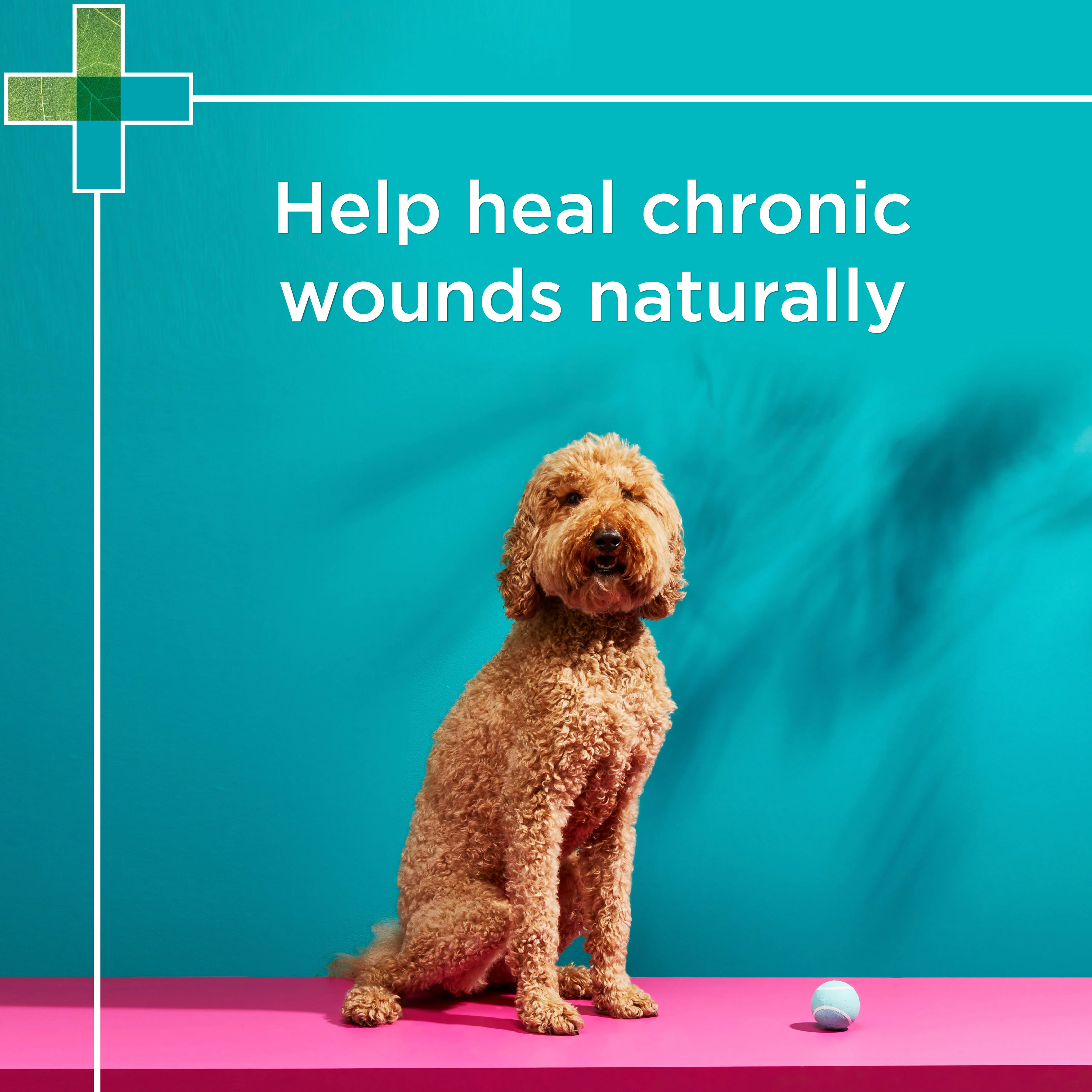 PAW - Manuka Wound Gel - Image 4