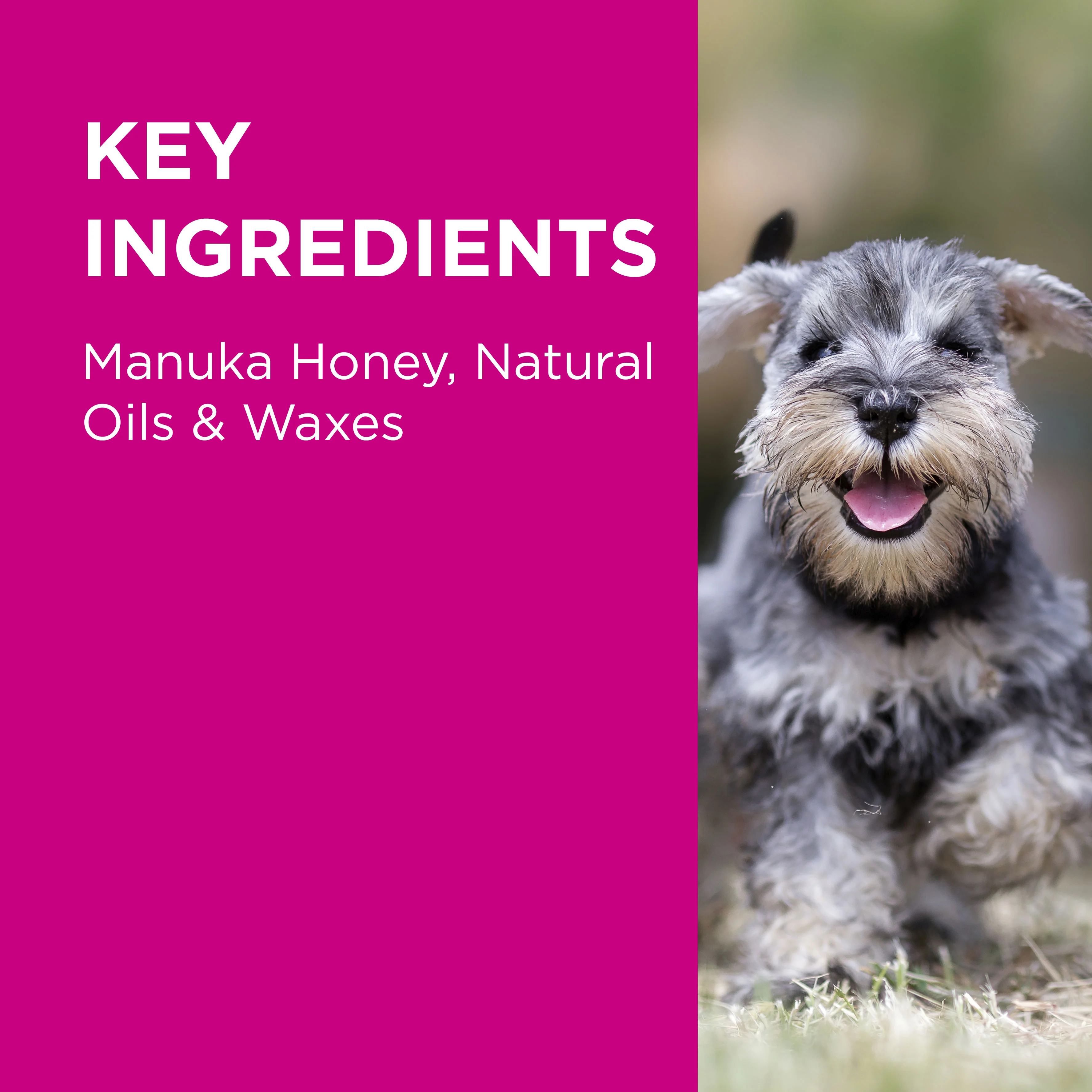 PAW - Manuka Wound Gel - Image 5