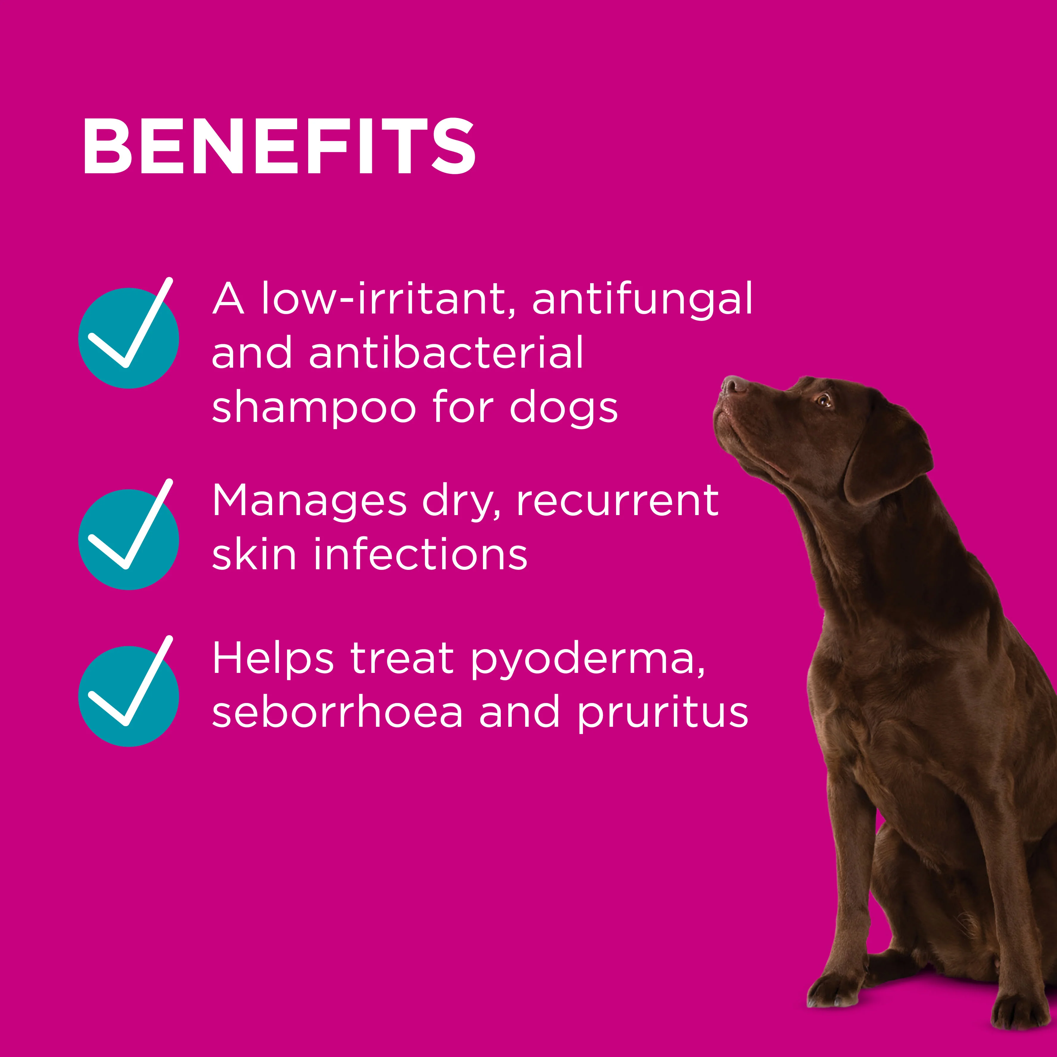 PAW Mediderm Shampoo - Image 3