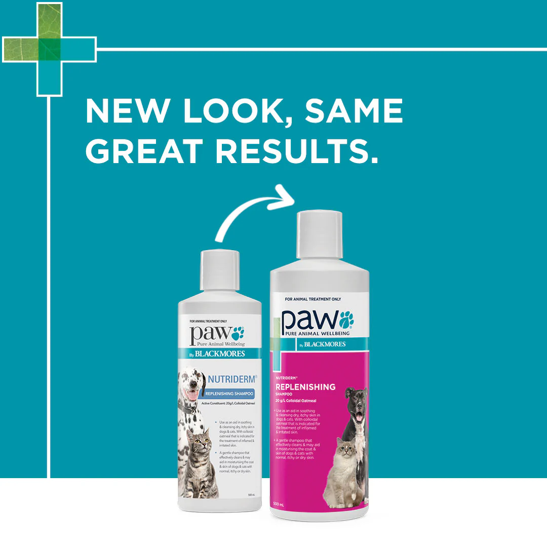 PAW Nutriderm Shampoo 500ml - Image 8