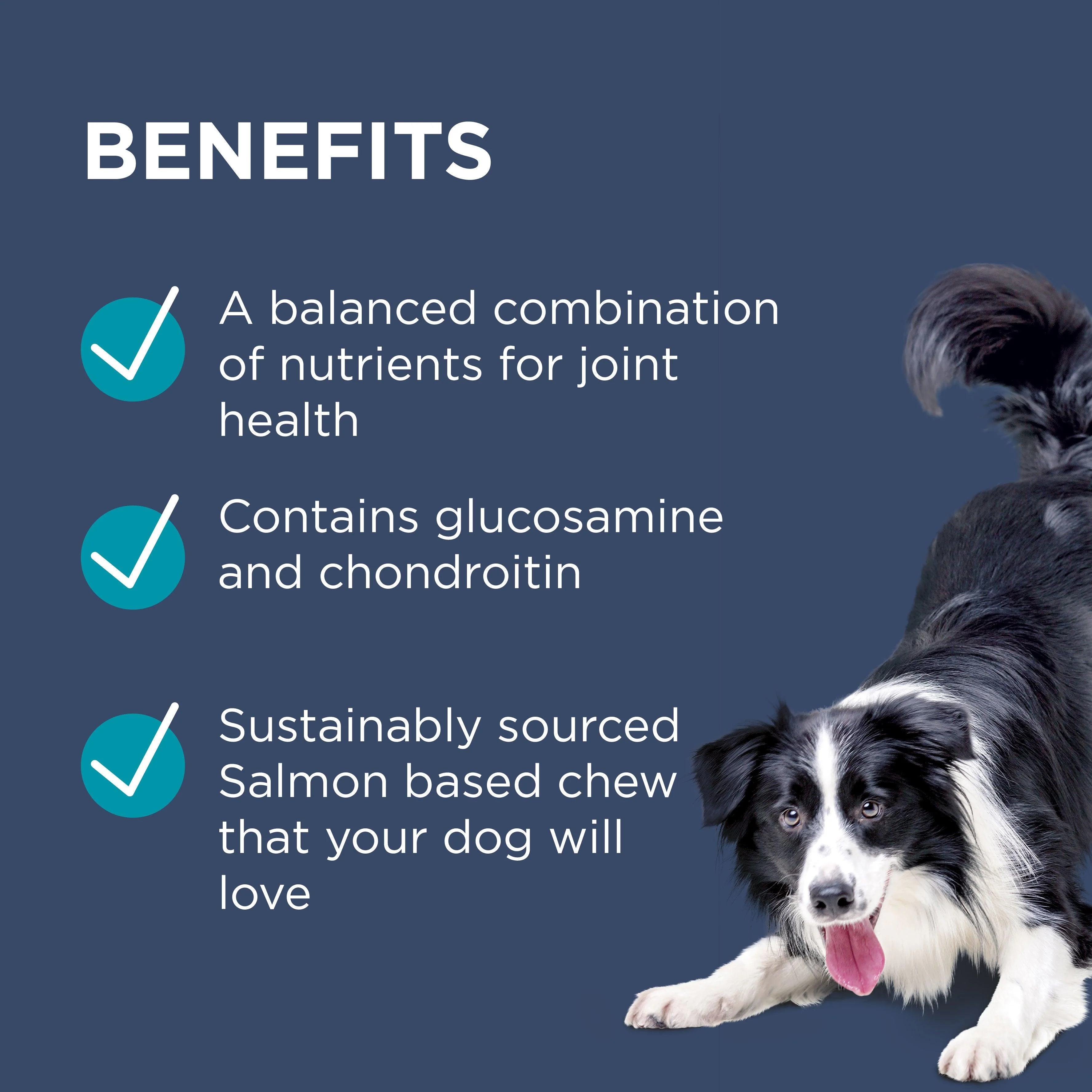 PAW Osteocare Joint Health Chews - Image 21