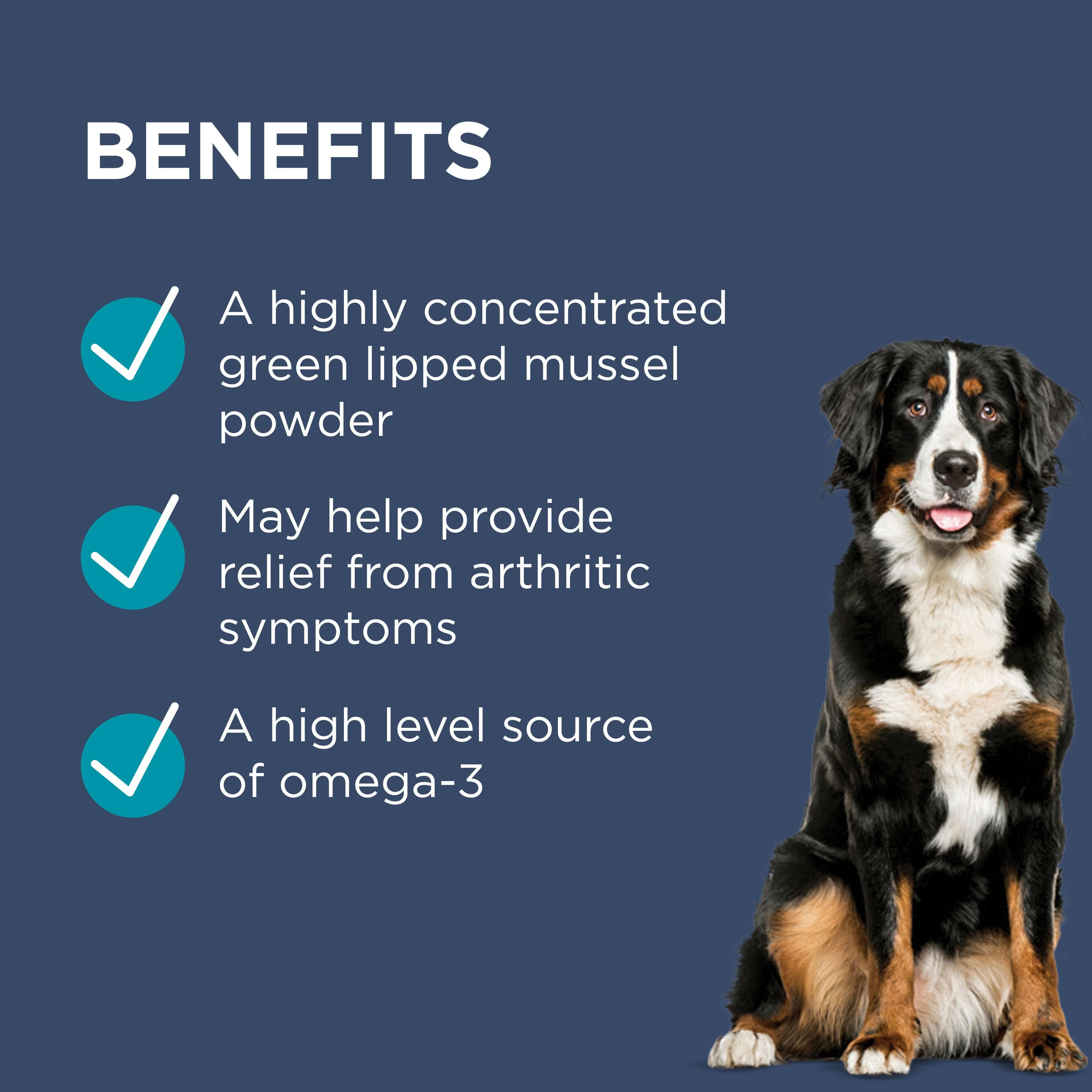 PAW - Osteosupport - Joint Care Capsules for Dogs - Image 22