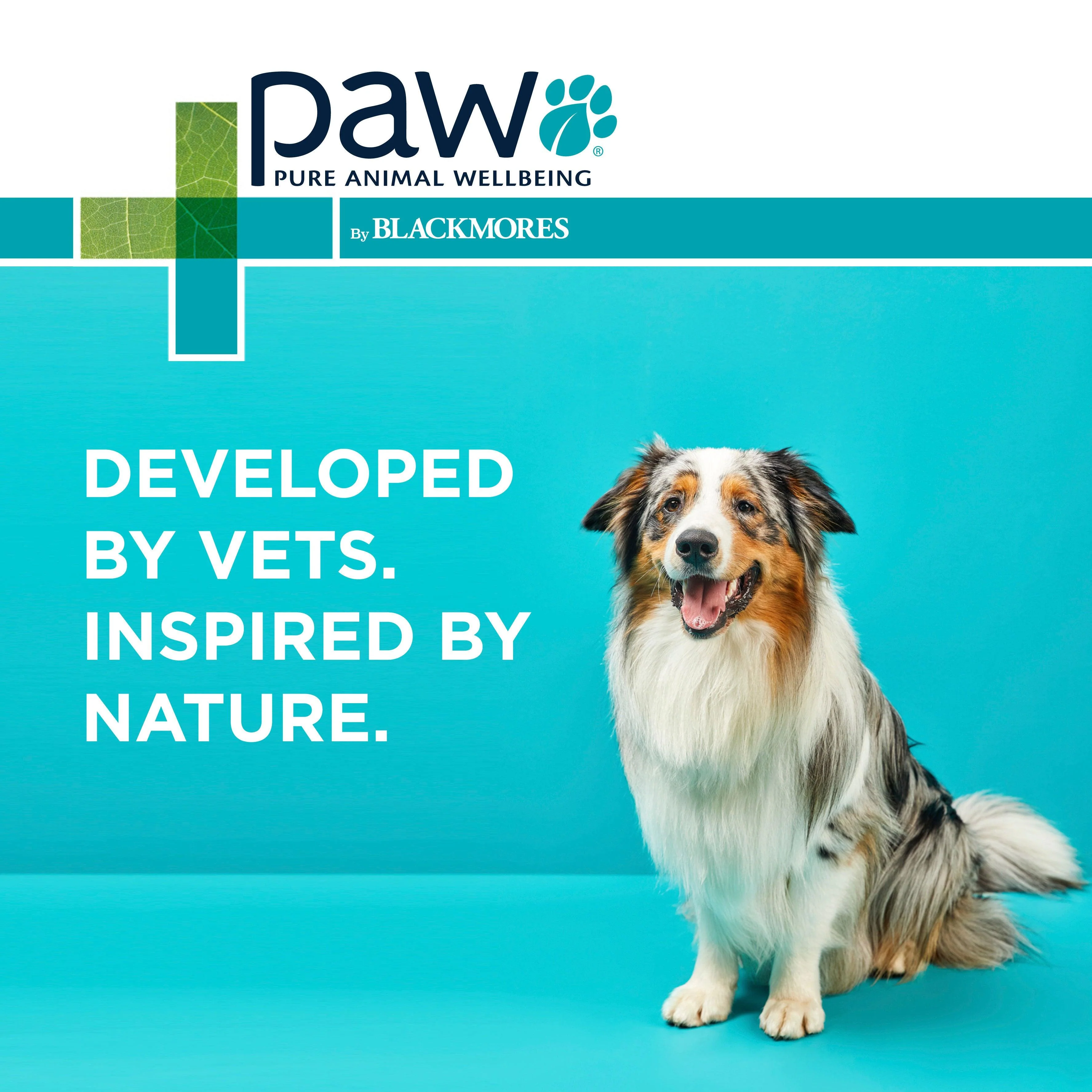 PAW - Osteosupport - Joint Care Capsules for Dogs - Image 34