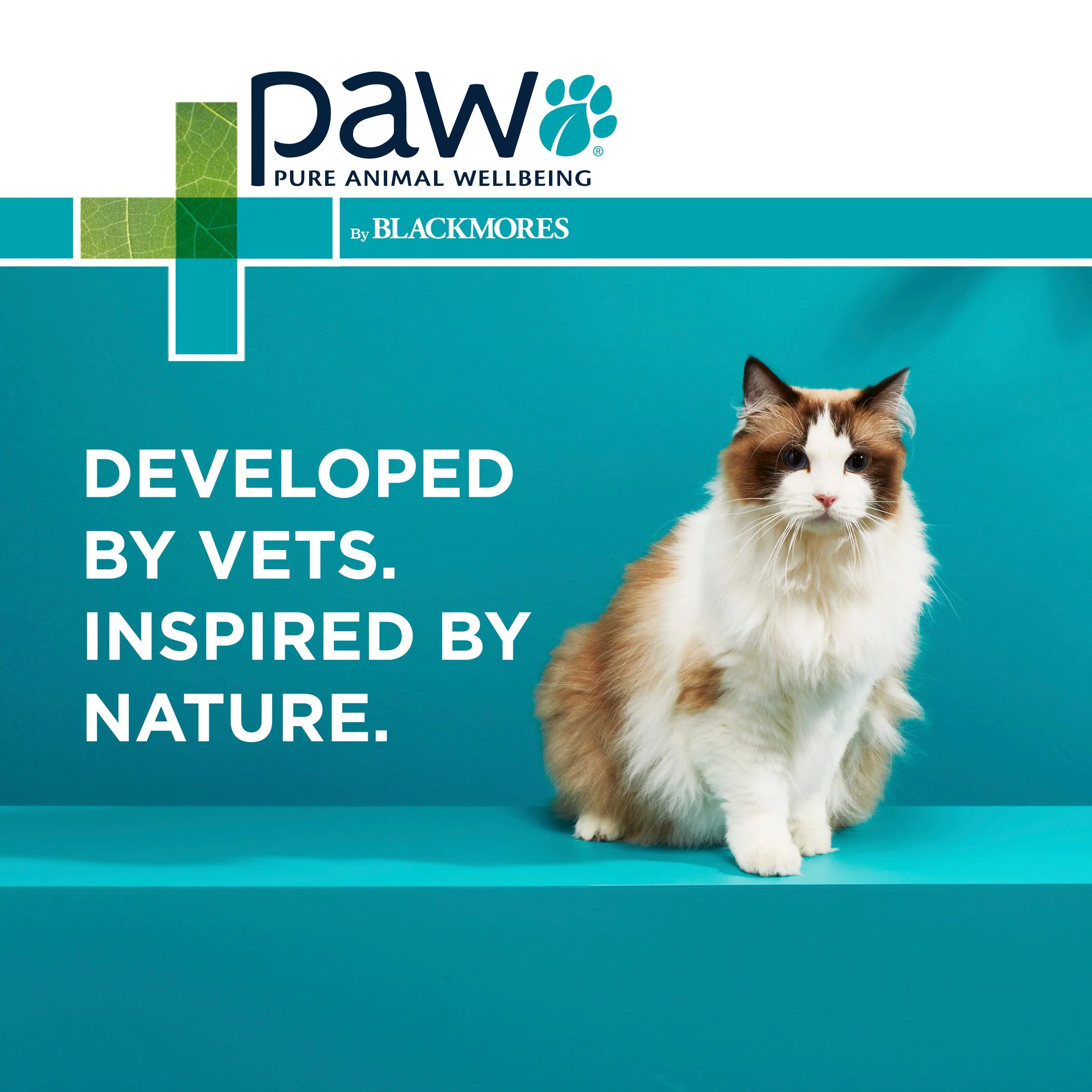 PAW Osteosupport Joint Care Powder For Cats 60pk - Image 20