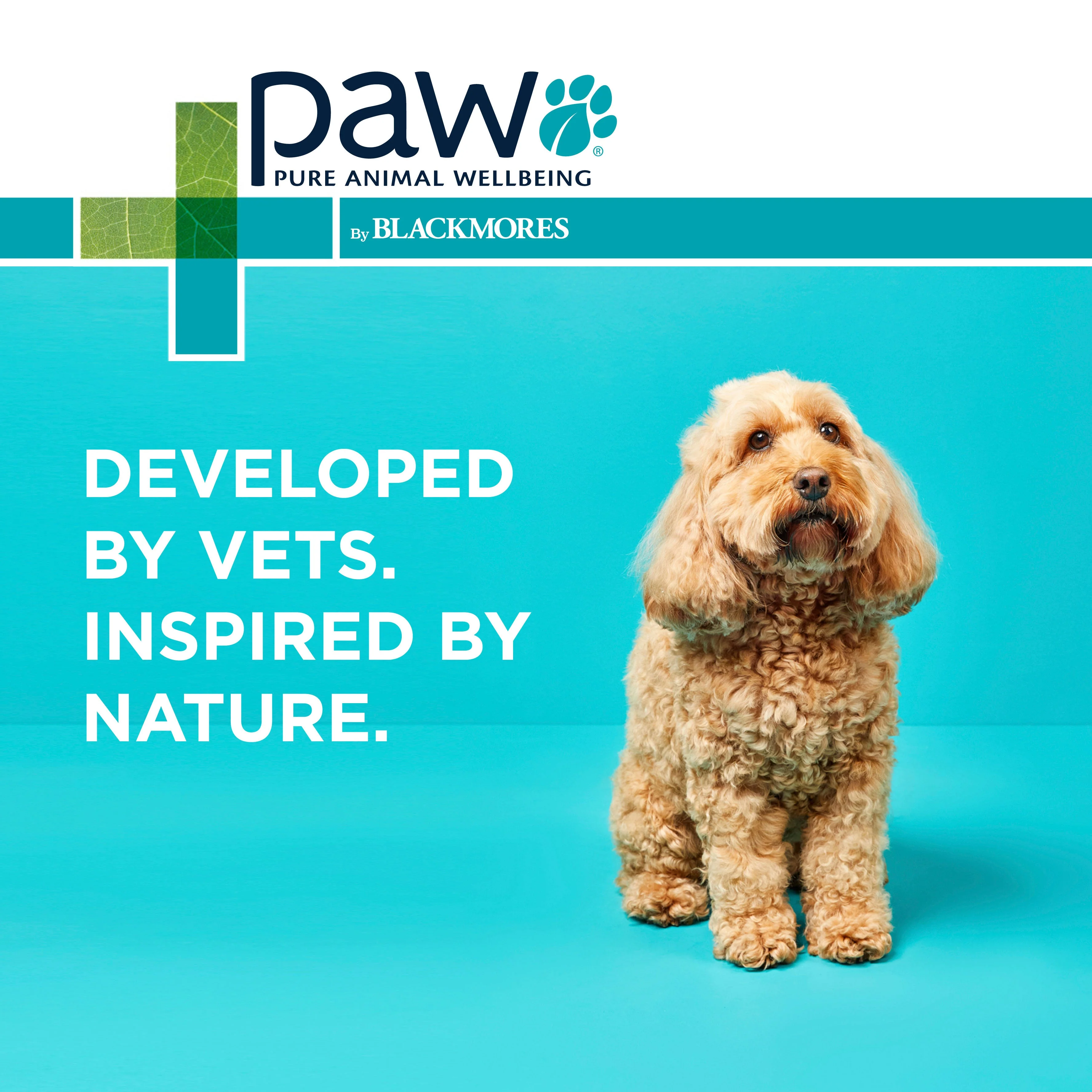 PAW Sensitive Skin Shampoo 500ml - Image 17