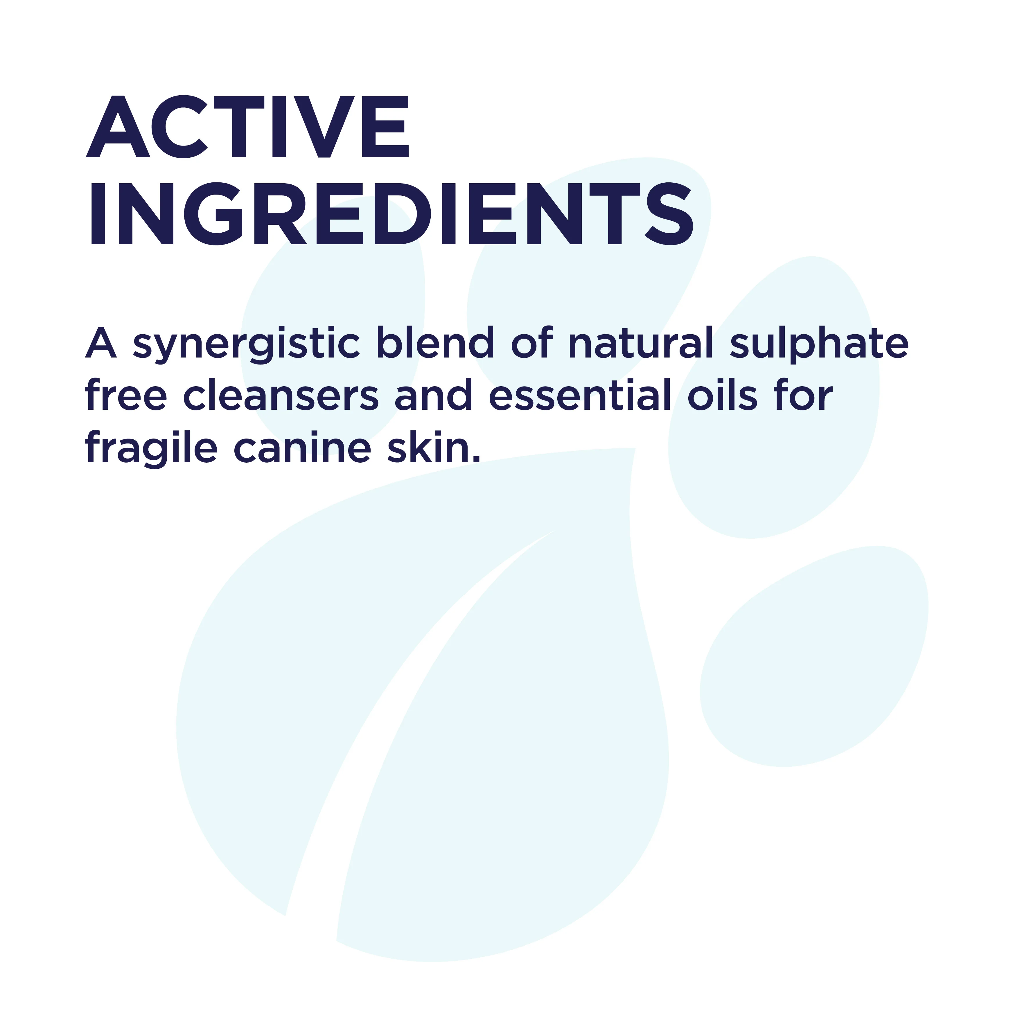 PAW Sensitive Skin Shampoo 500ml - Image 5