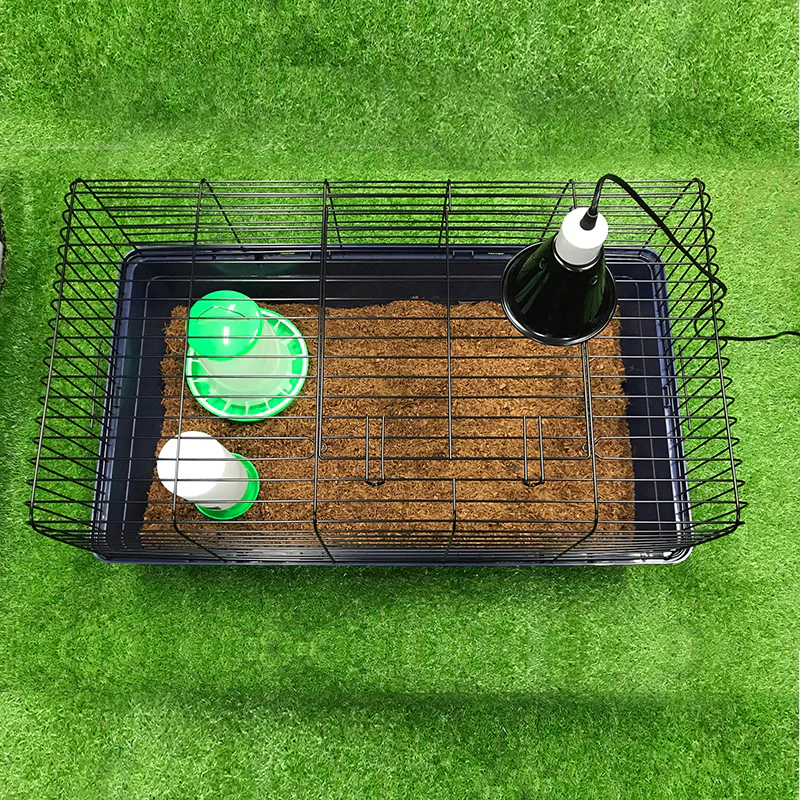 Pet One Your First Chicken Kit - Image 3