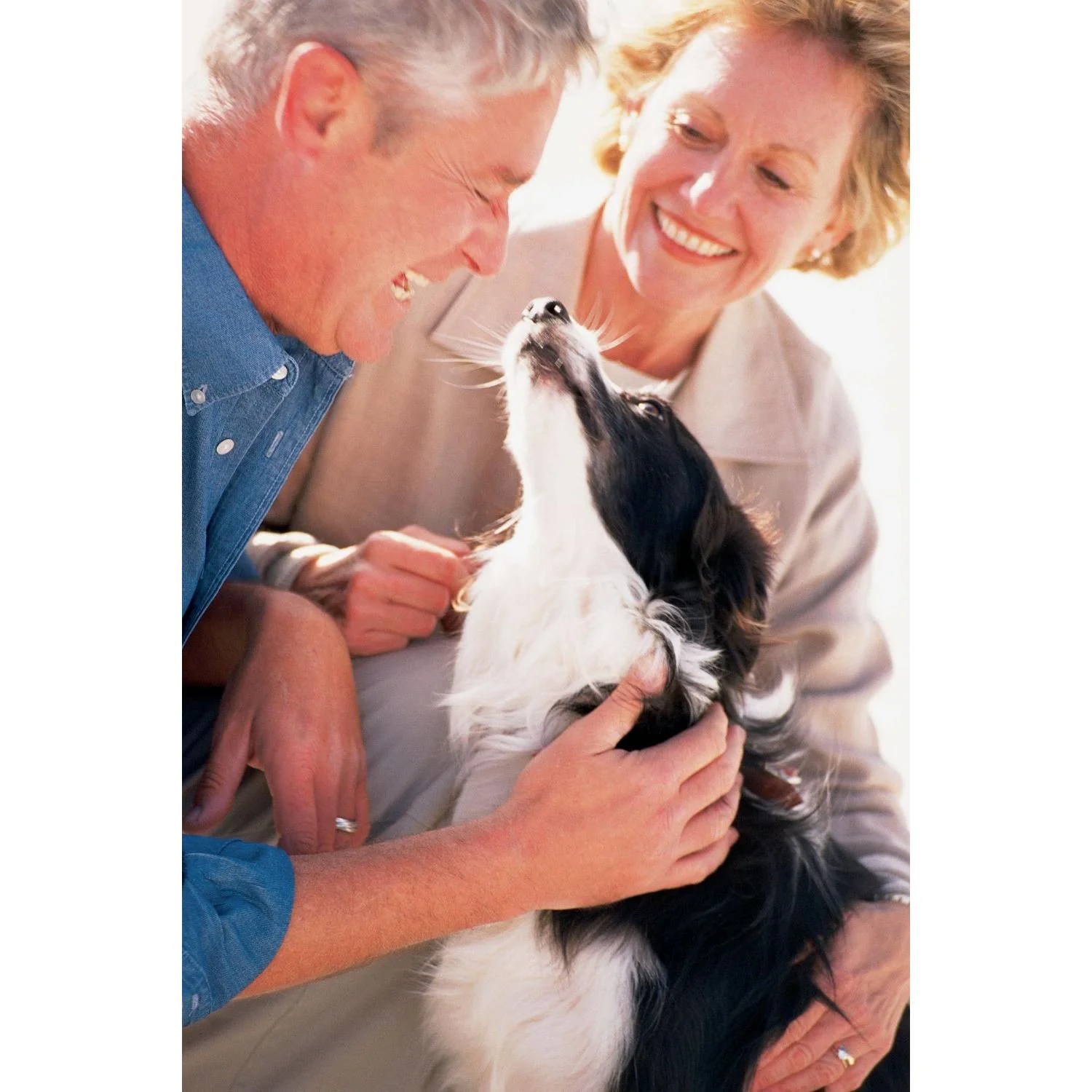 PetSafe Collarless Ultrasonic Remote Trainer - Image 3