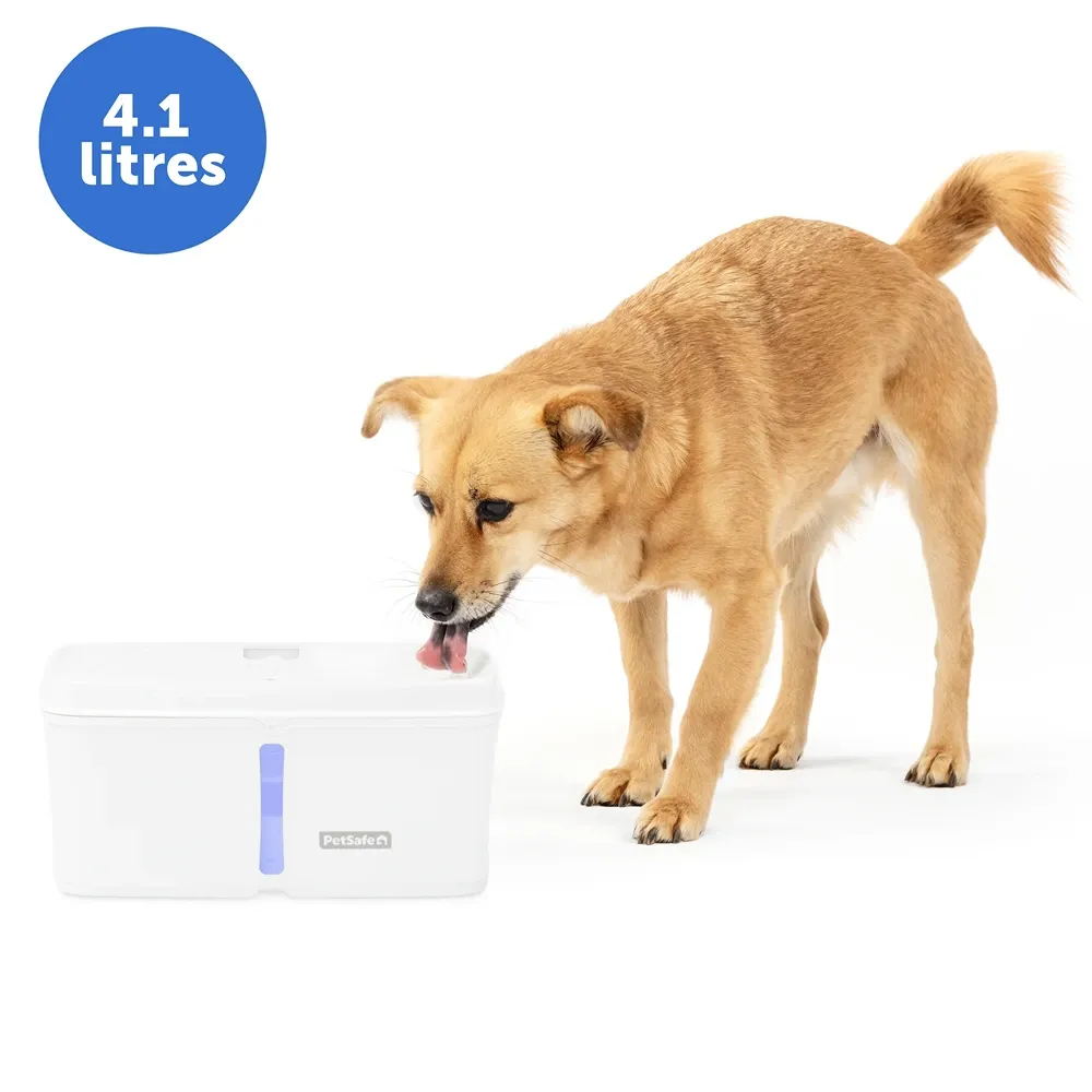 Petsafe Viva 4.1 Litre Pet Water Fountain - Image 2