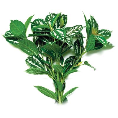 Pisces Aluminium Live Plant - Image 2