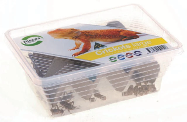 Pisces Live Crickets - Image 4