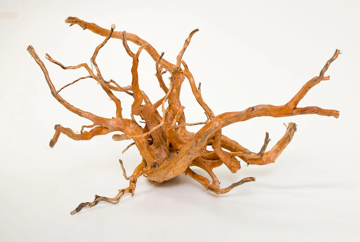 Pisces Natural Gold Vine Large 40cm