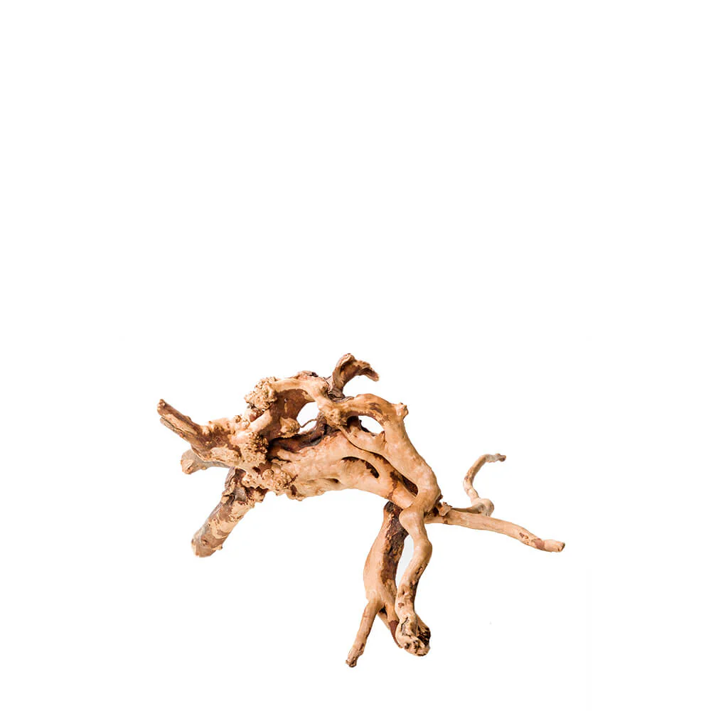 Pisces Natural Gold Vine Nano - Image 2