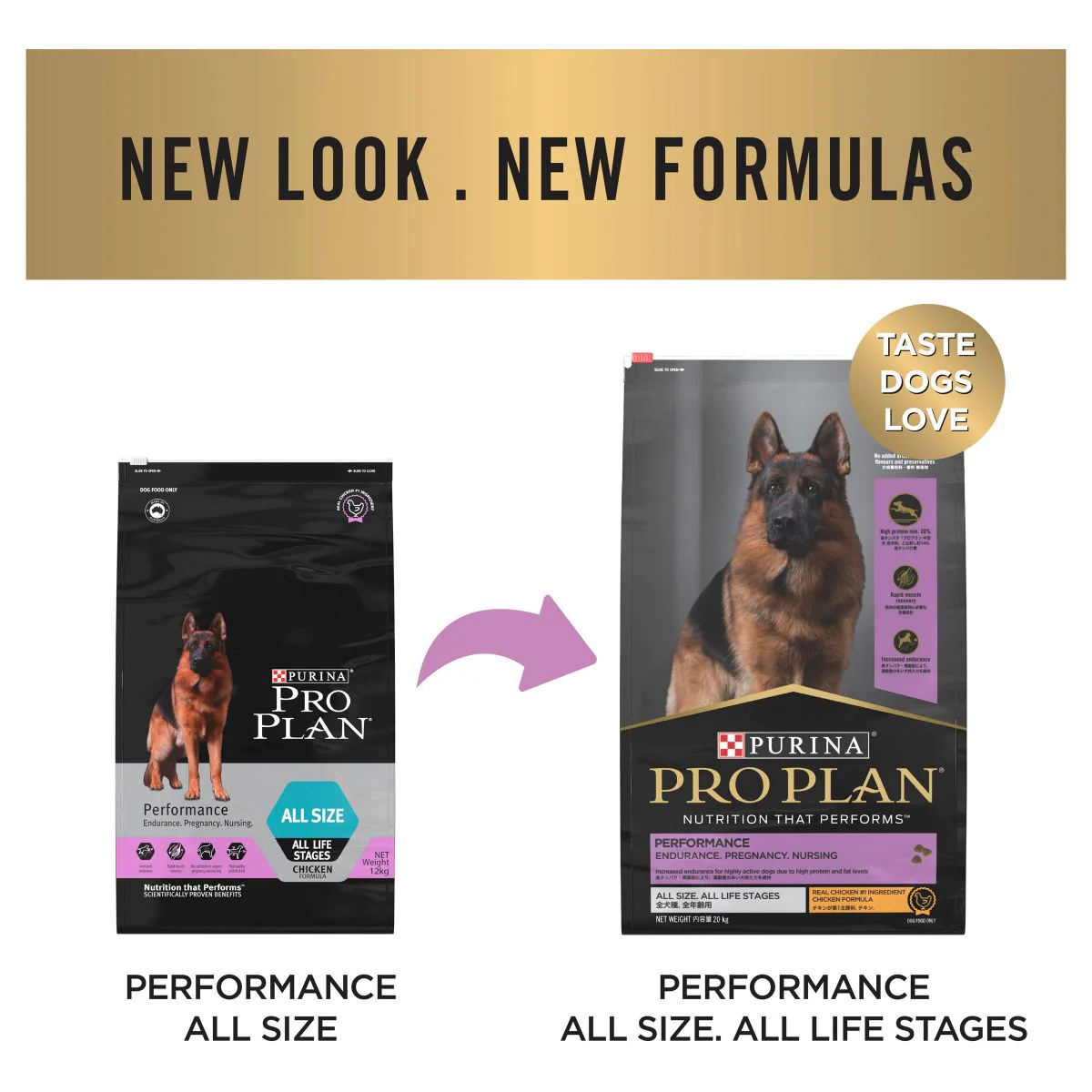 Pro Plan Performance All Size Chicken Dry Dog Food 20kg - Image 13