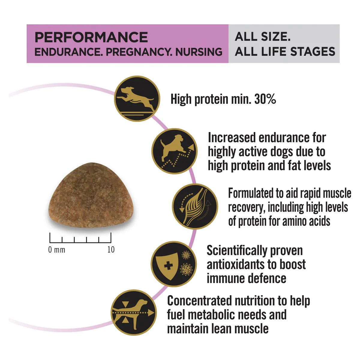 Pro Plan Performance All Size Chicken Dry Dog Food 20kg - Image 14